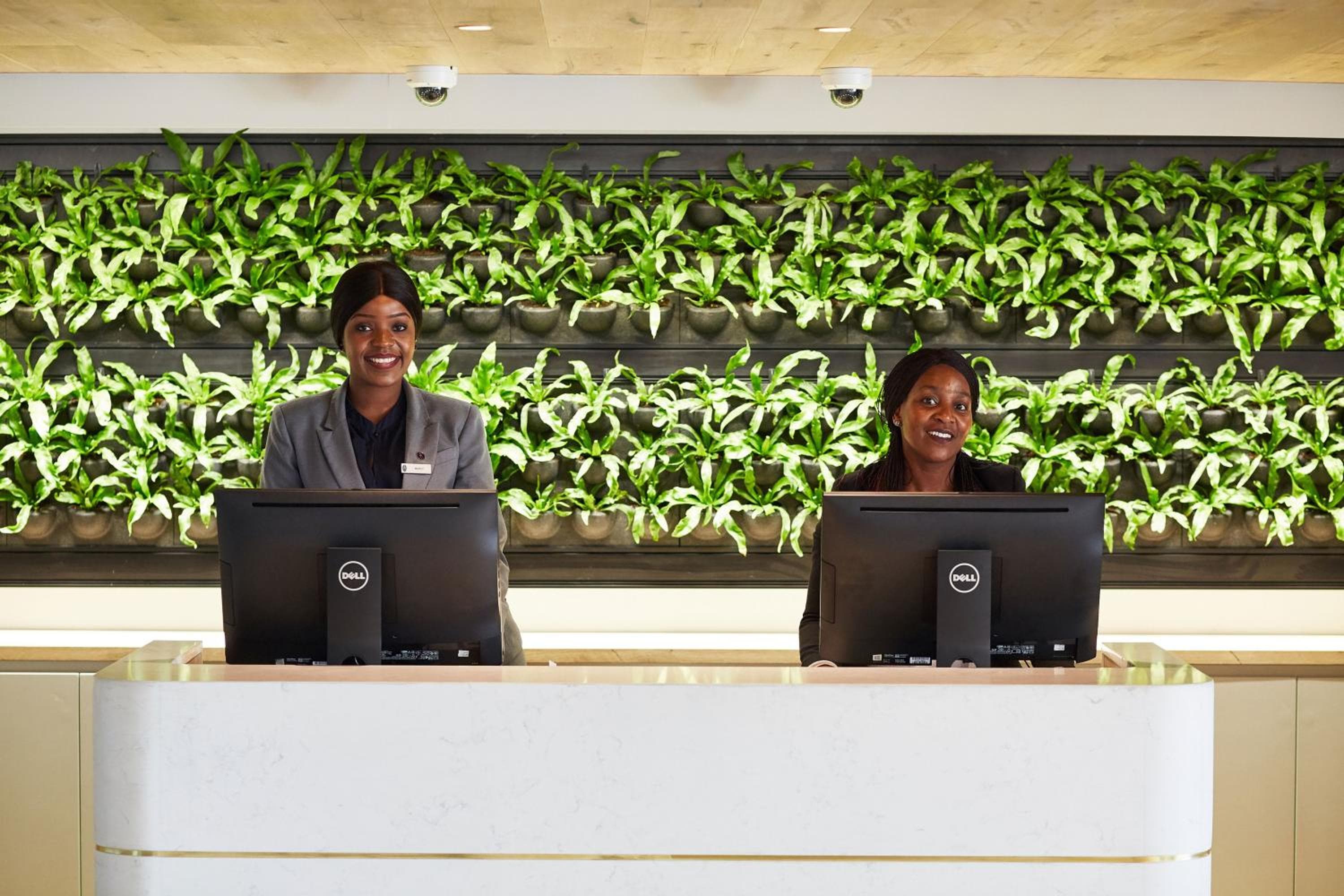 President Hotel hotel, 4 Alexander Road, Bantry Bay, Cape Town, South Africa — photo 20