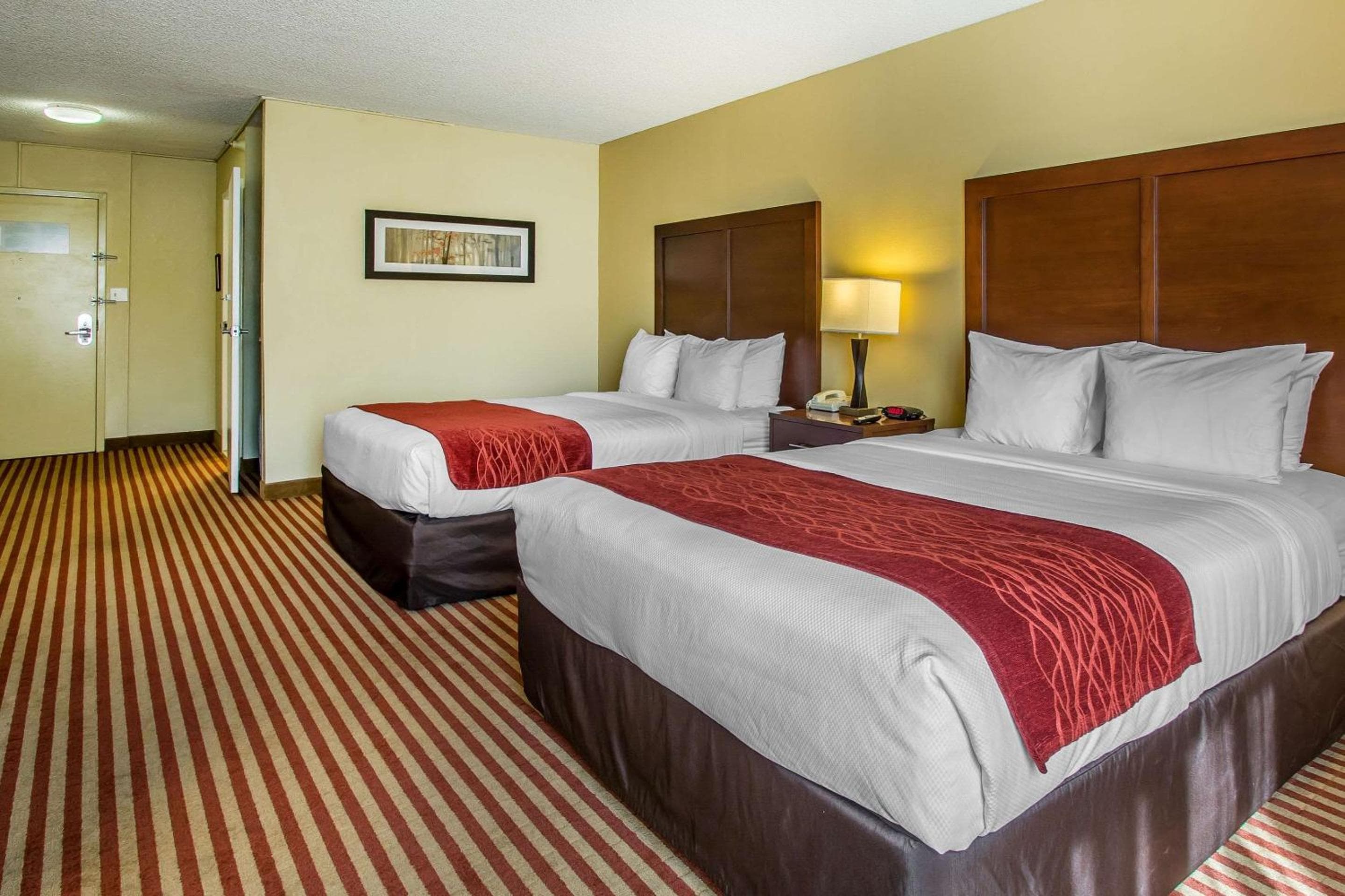 Comfort Inn & Suites Kissimmee by the Parks — 10