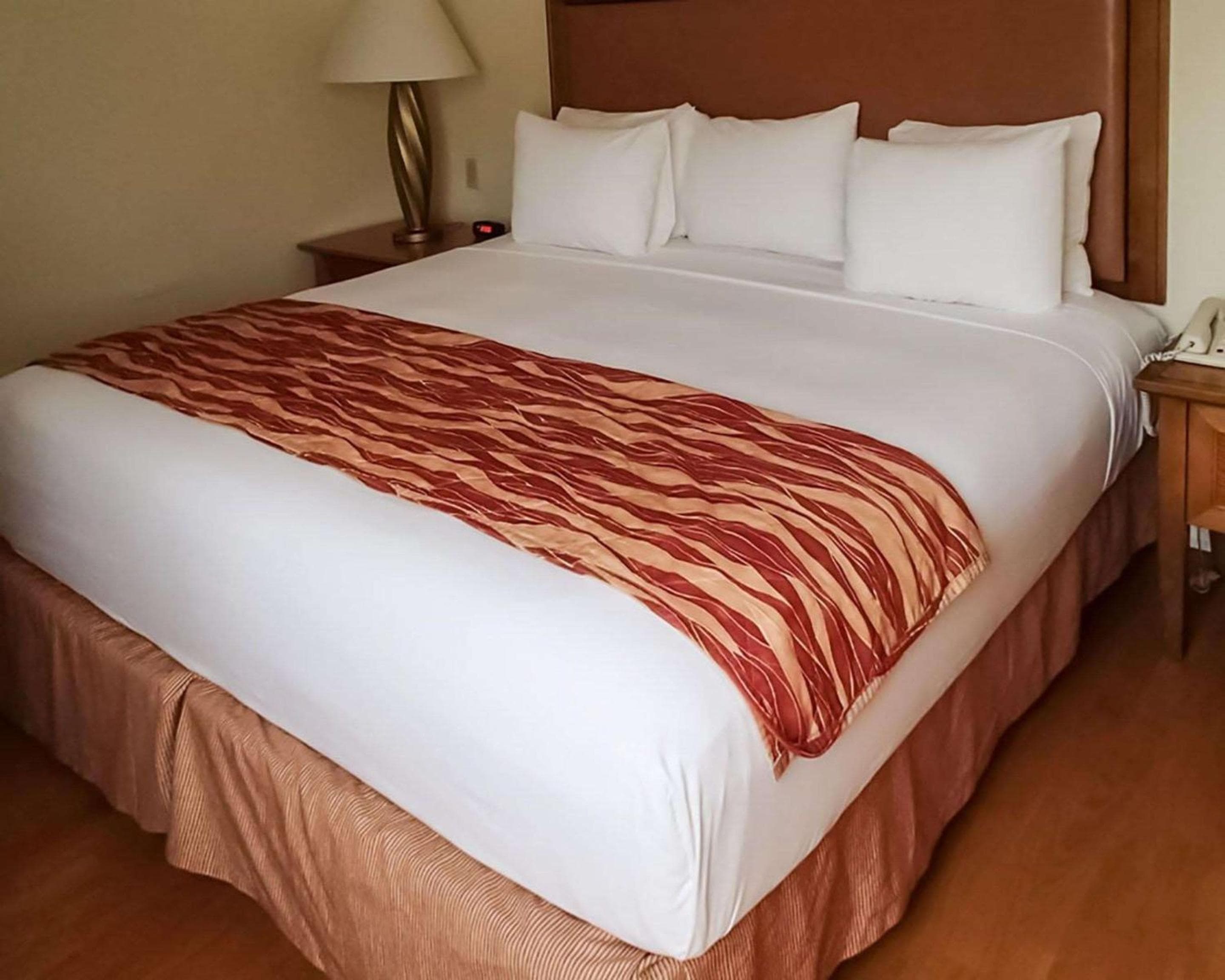 Rodeway Inn South Miami - Coral Gables Sur Miami — 11