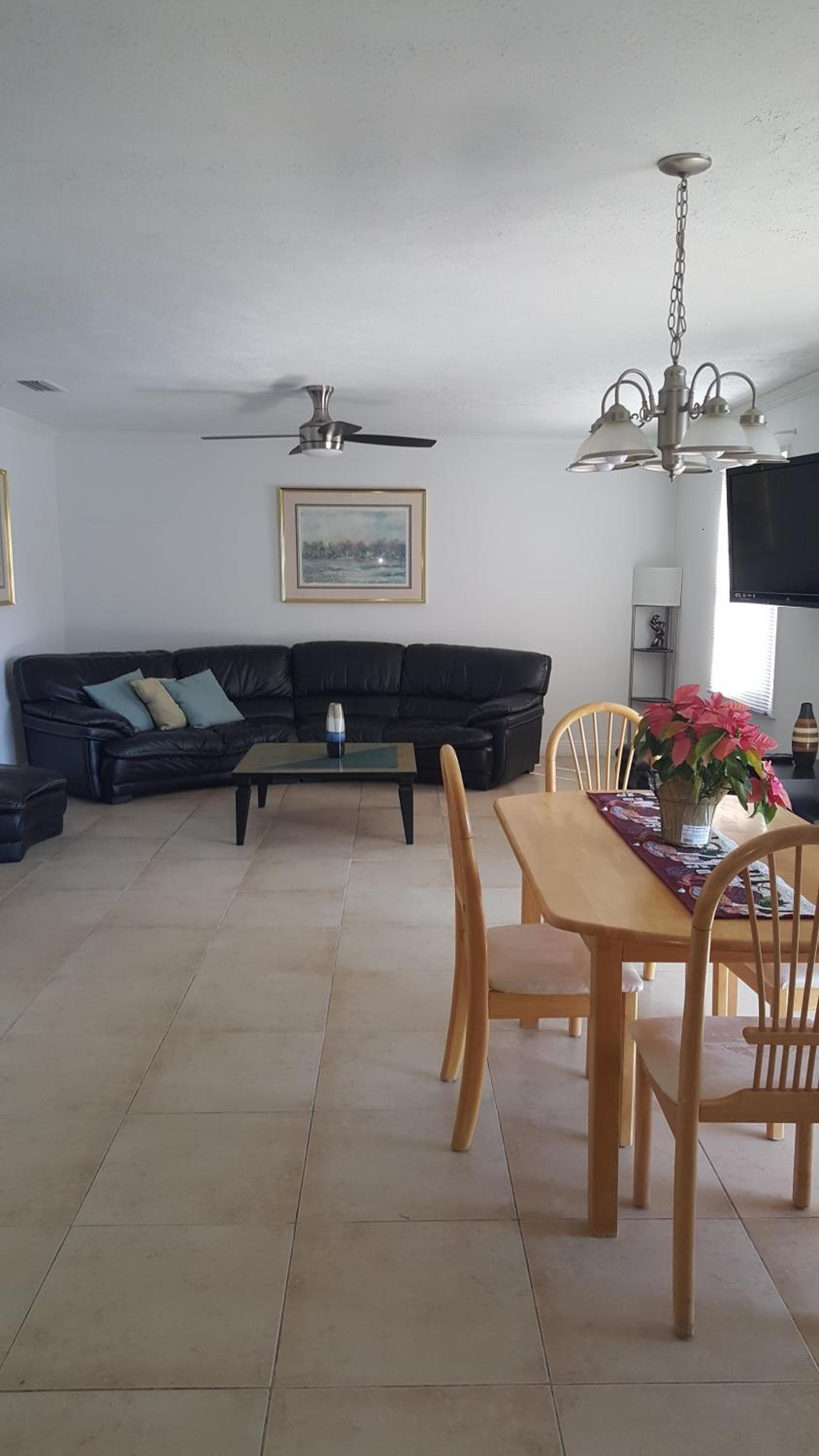 Schönes Apartment in der Nähe von Busch Gardens — 6