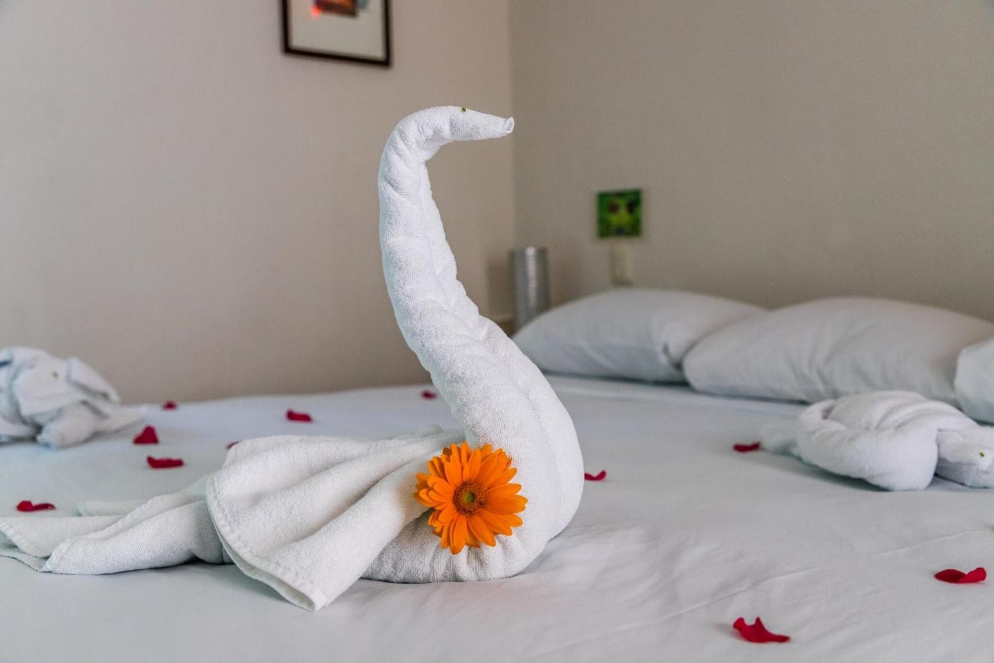 Moonshine Hotel — 6