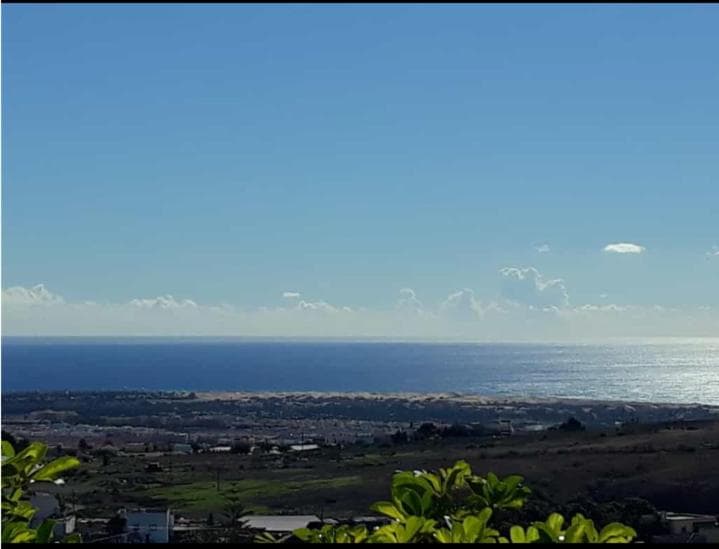 The Black Horse Canarias - Adults Only — 5
