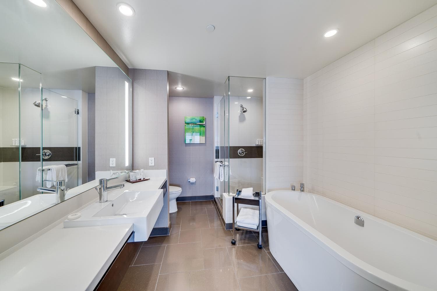 Jet Luxury at The Vdara — 28