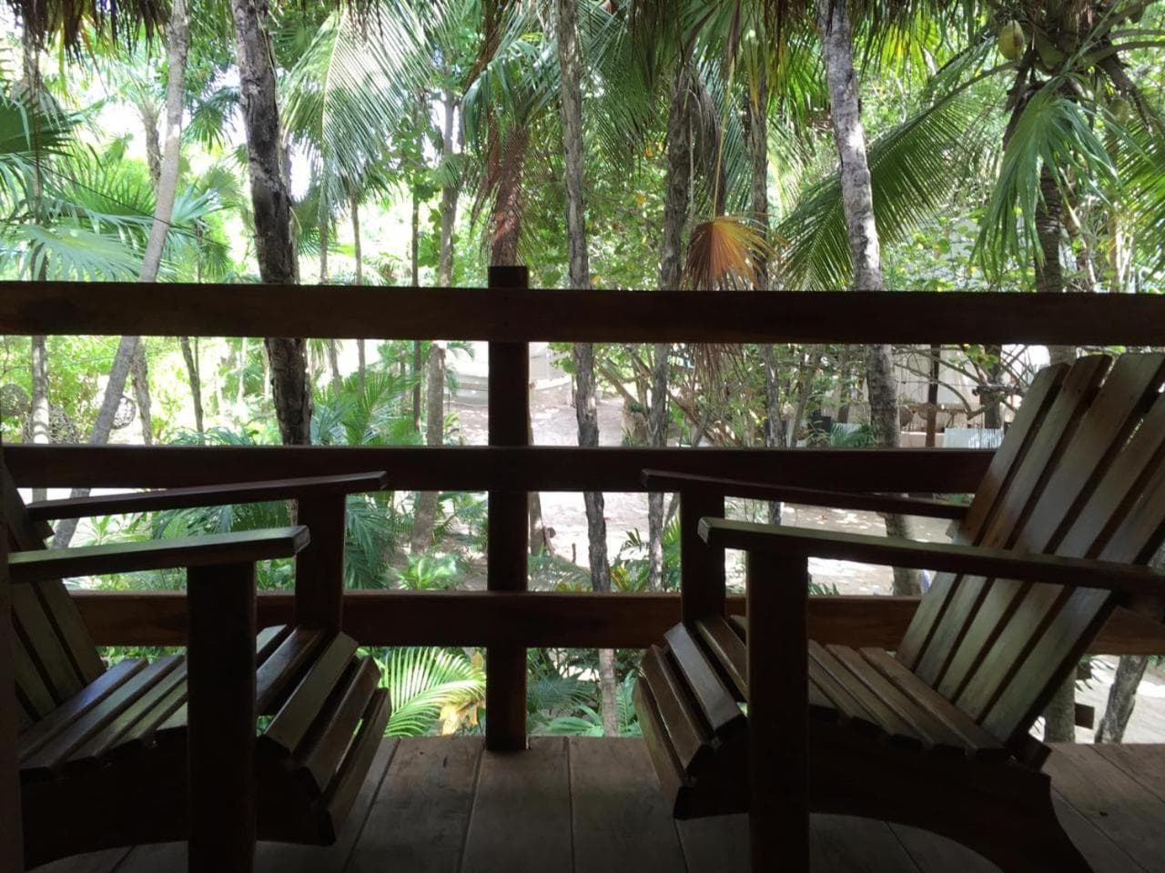 Casa Violeta — 4