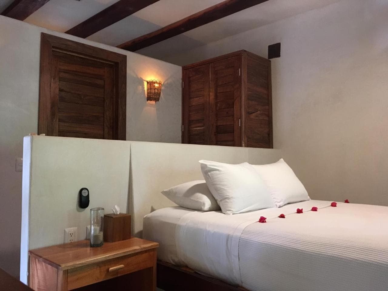 Casa Violeta — 6