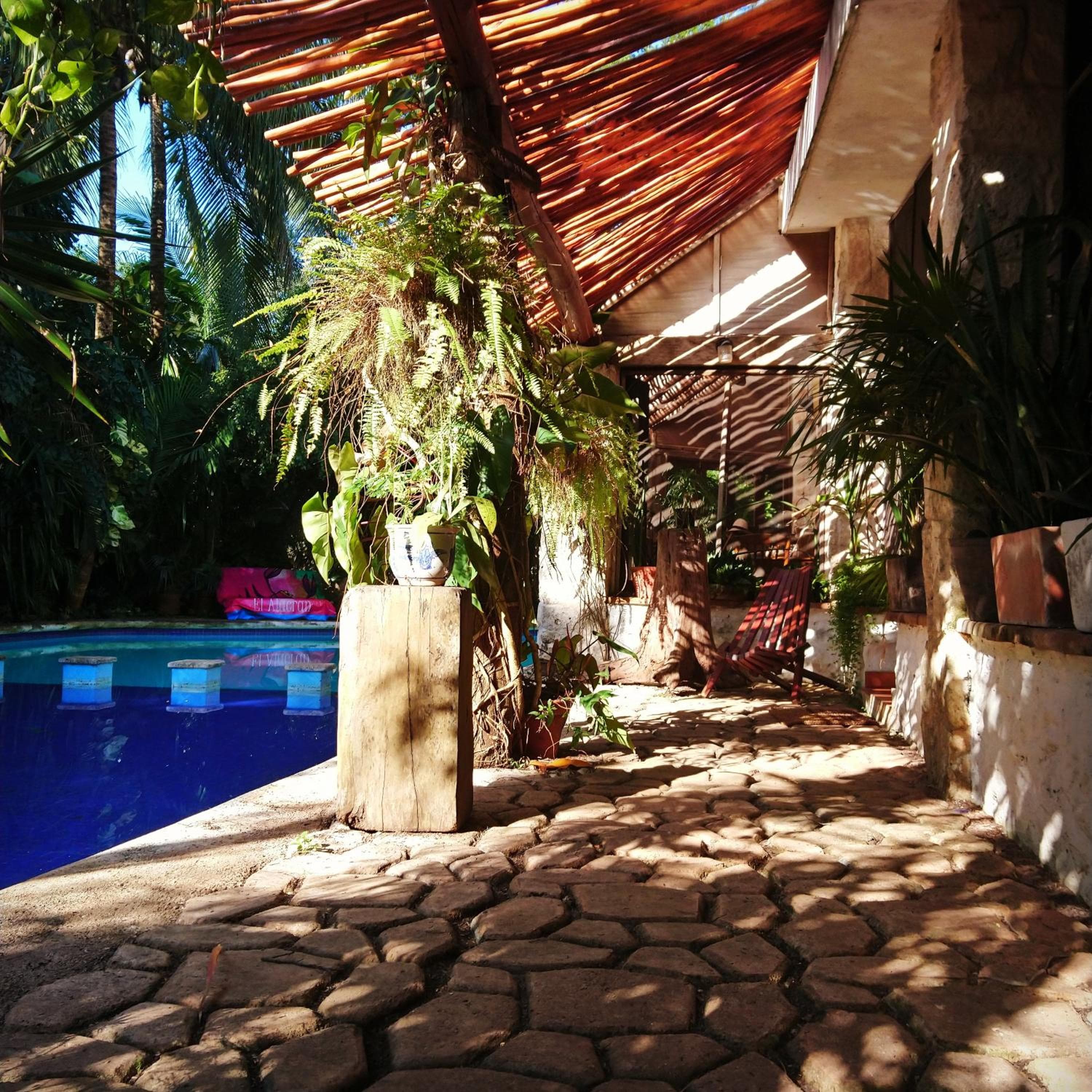 Dschungel Lodge CANCUN FLUGHAFEN — 2
