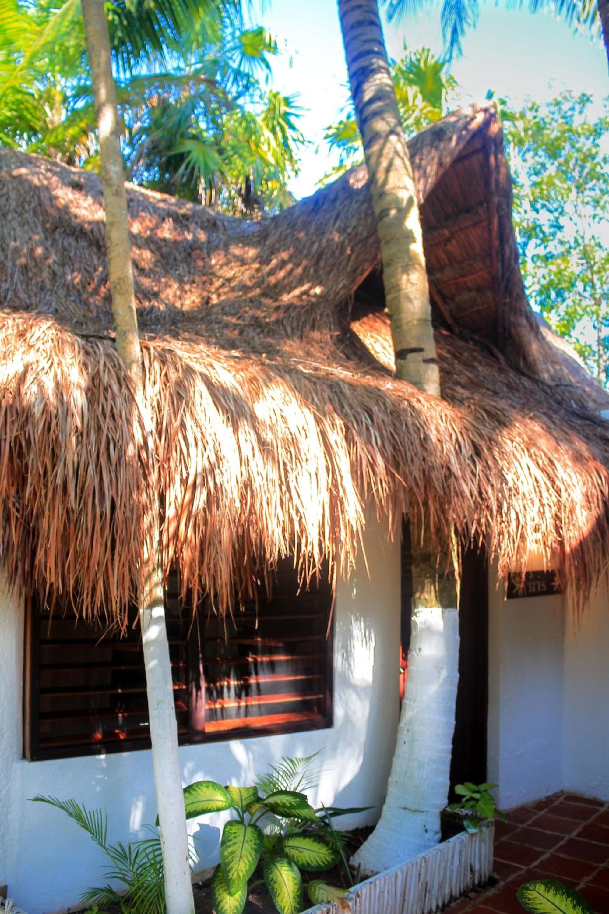 Casa Violeta — 1