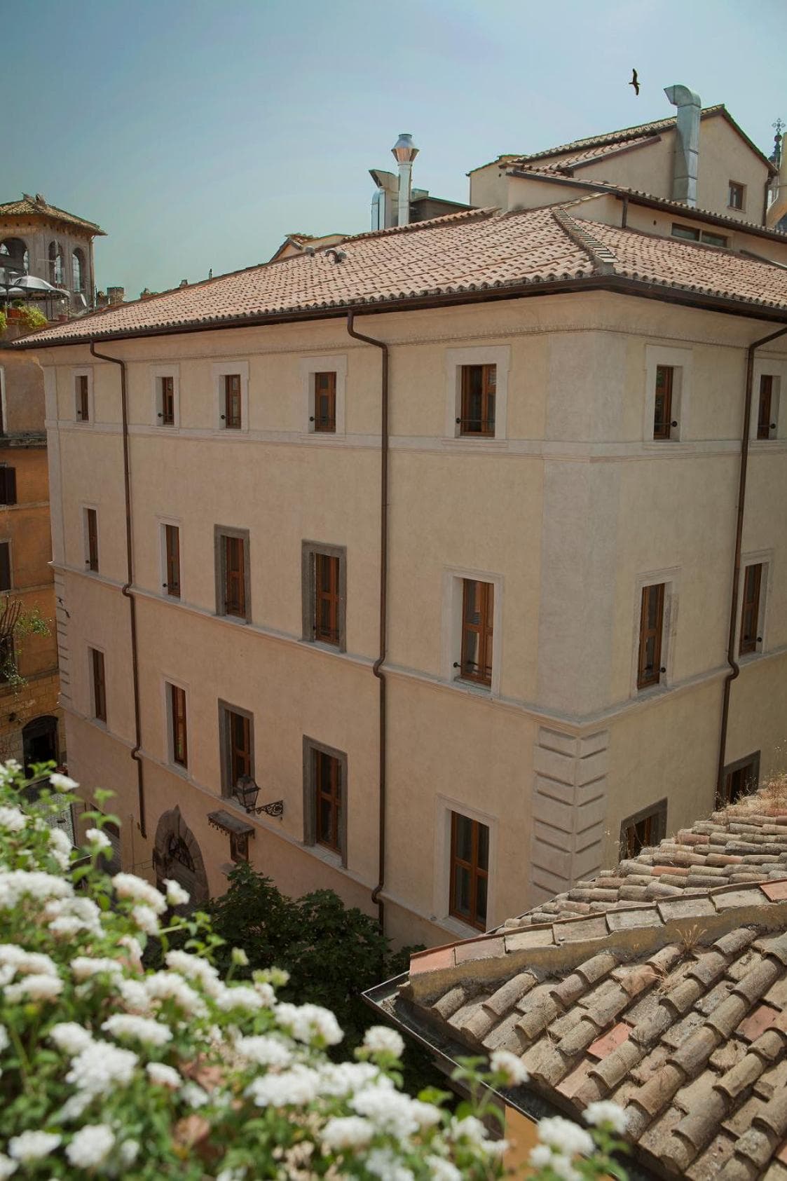 Hotel Navona Palace — 1