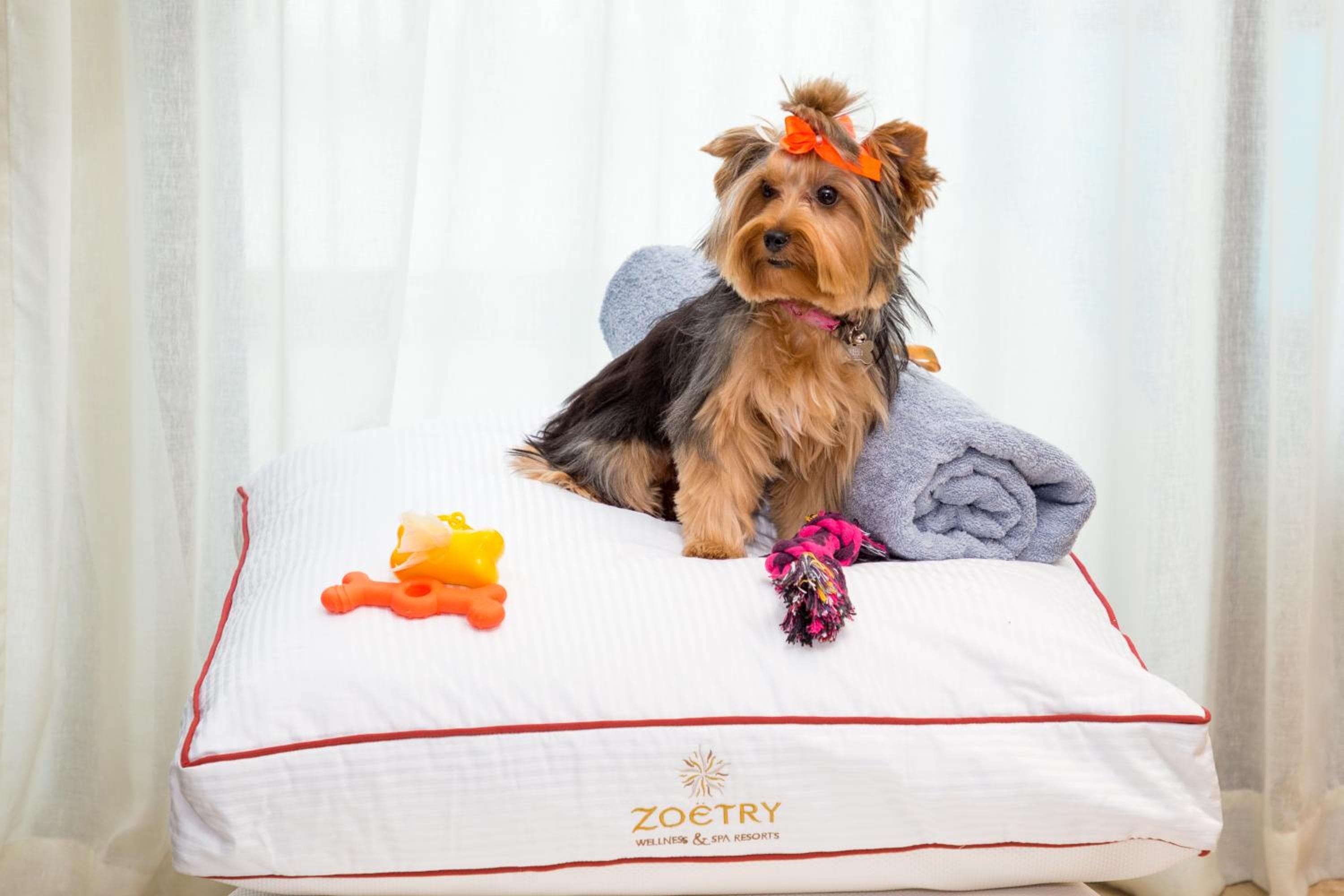 Zoetry Agua Punta Cana - All Inclusive — 28