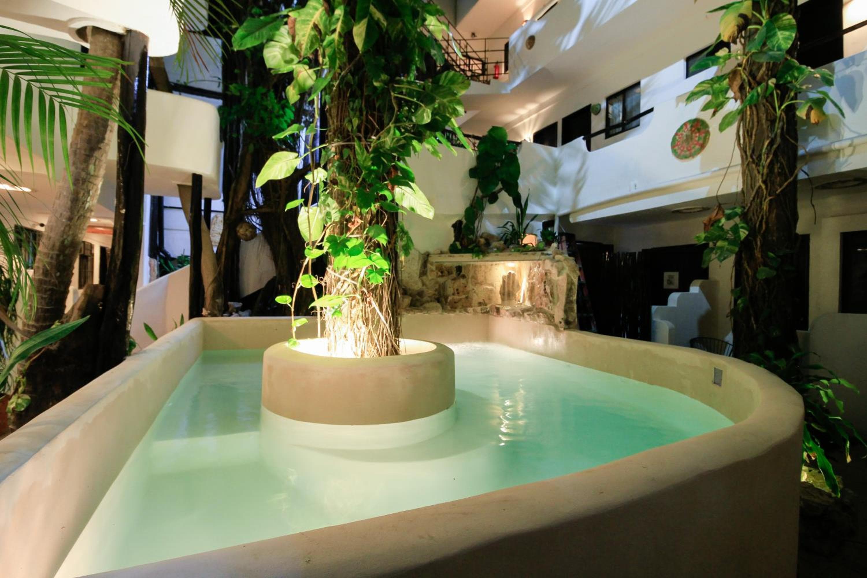 Albergo al chiaro di luna — 4