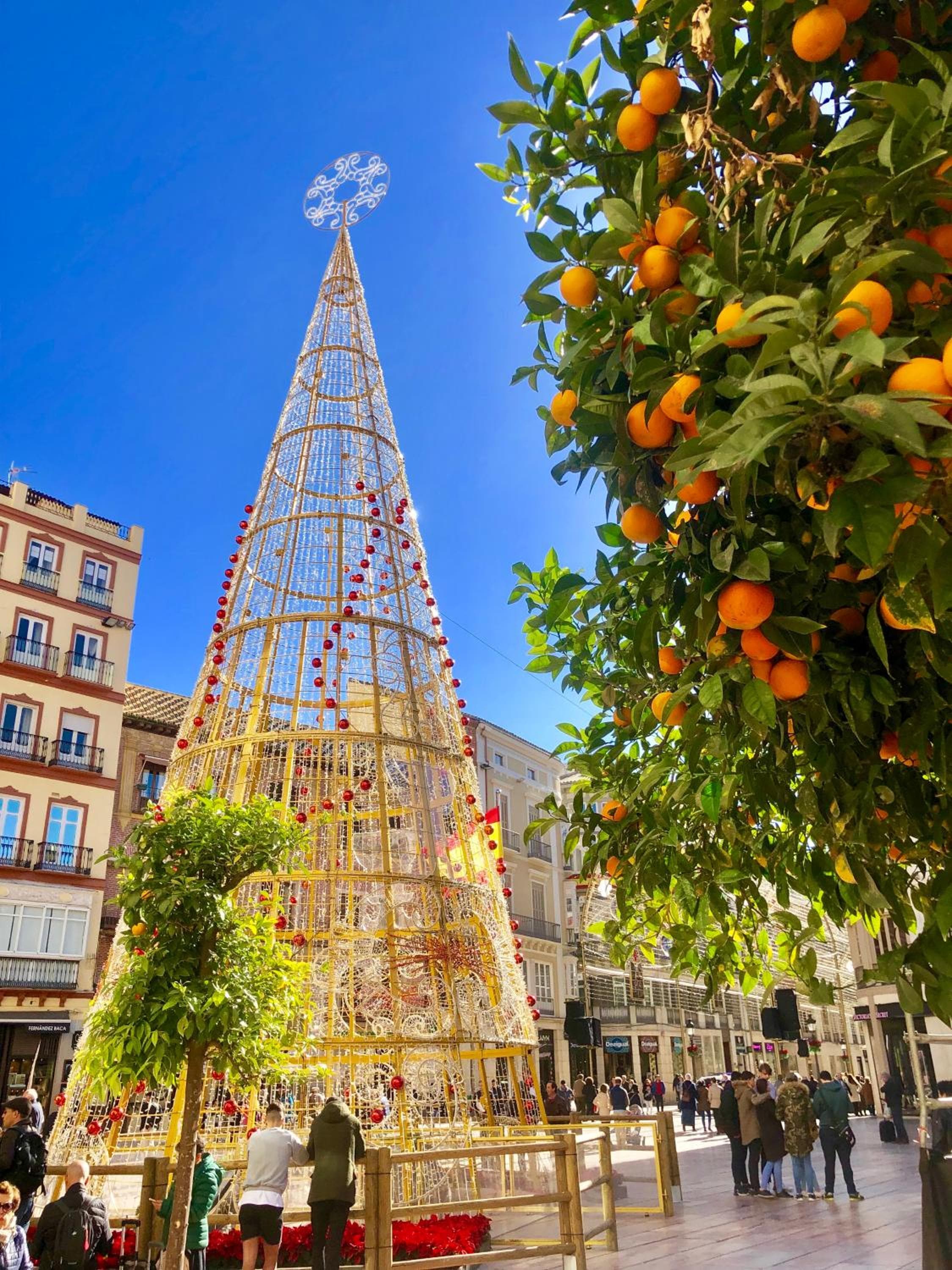 Attico Centro Malaga — 13