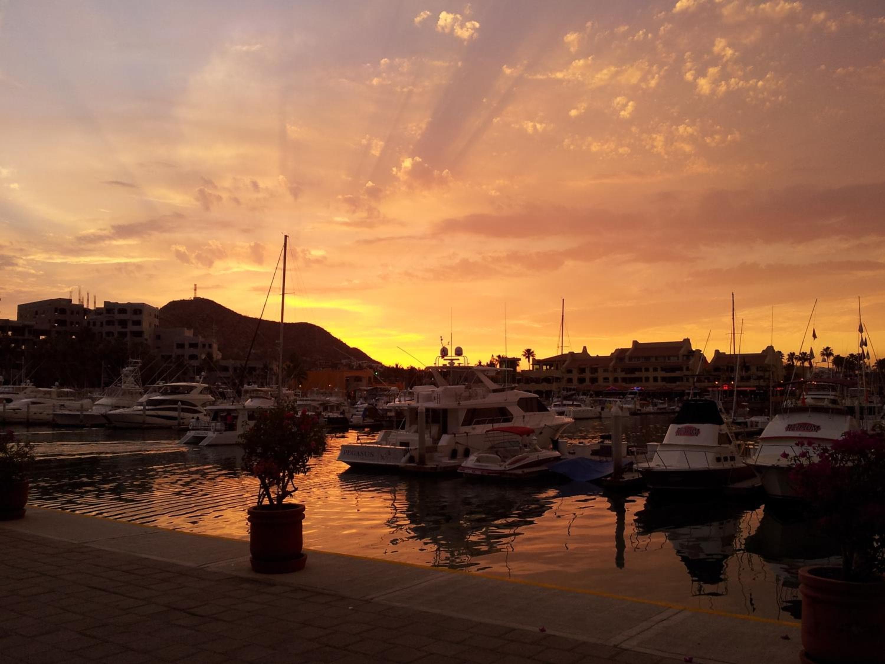 Marina Cabo Plaza Town & Beach condomini — 2