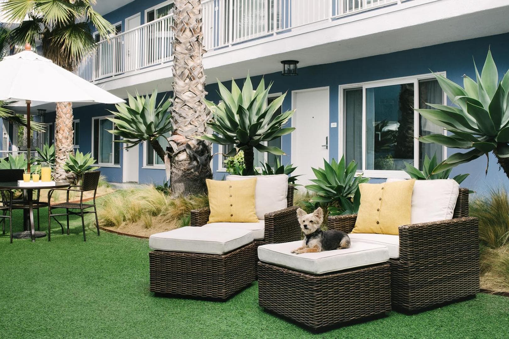 Bayside Hotel — 11