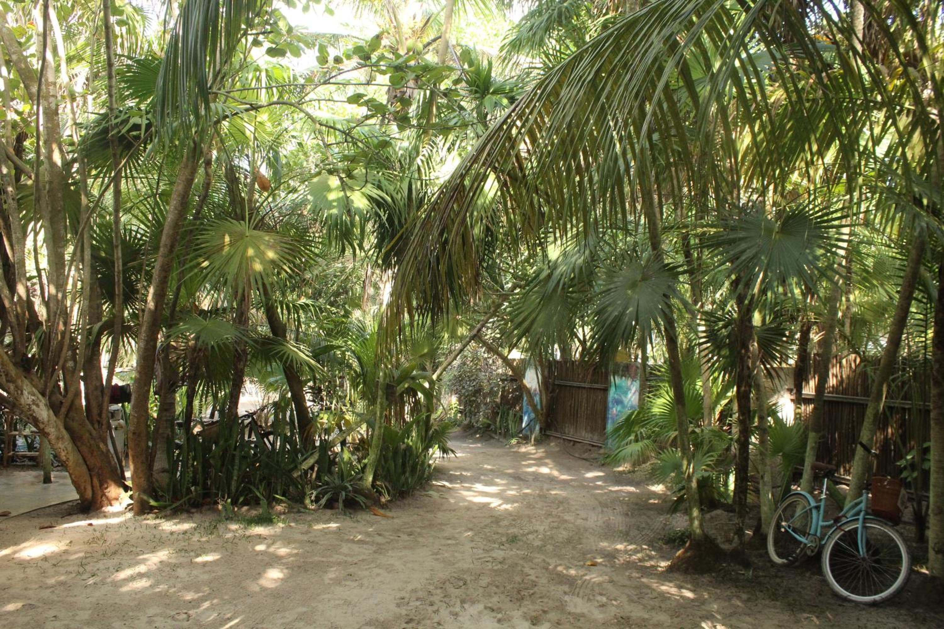 Chavez Eco Beach Camping and Cabañas — 23