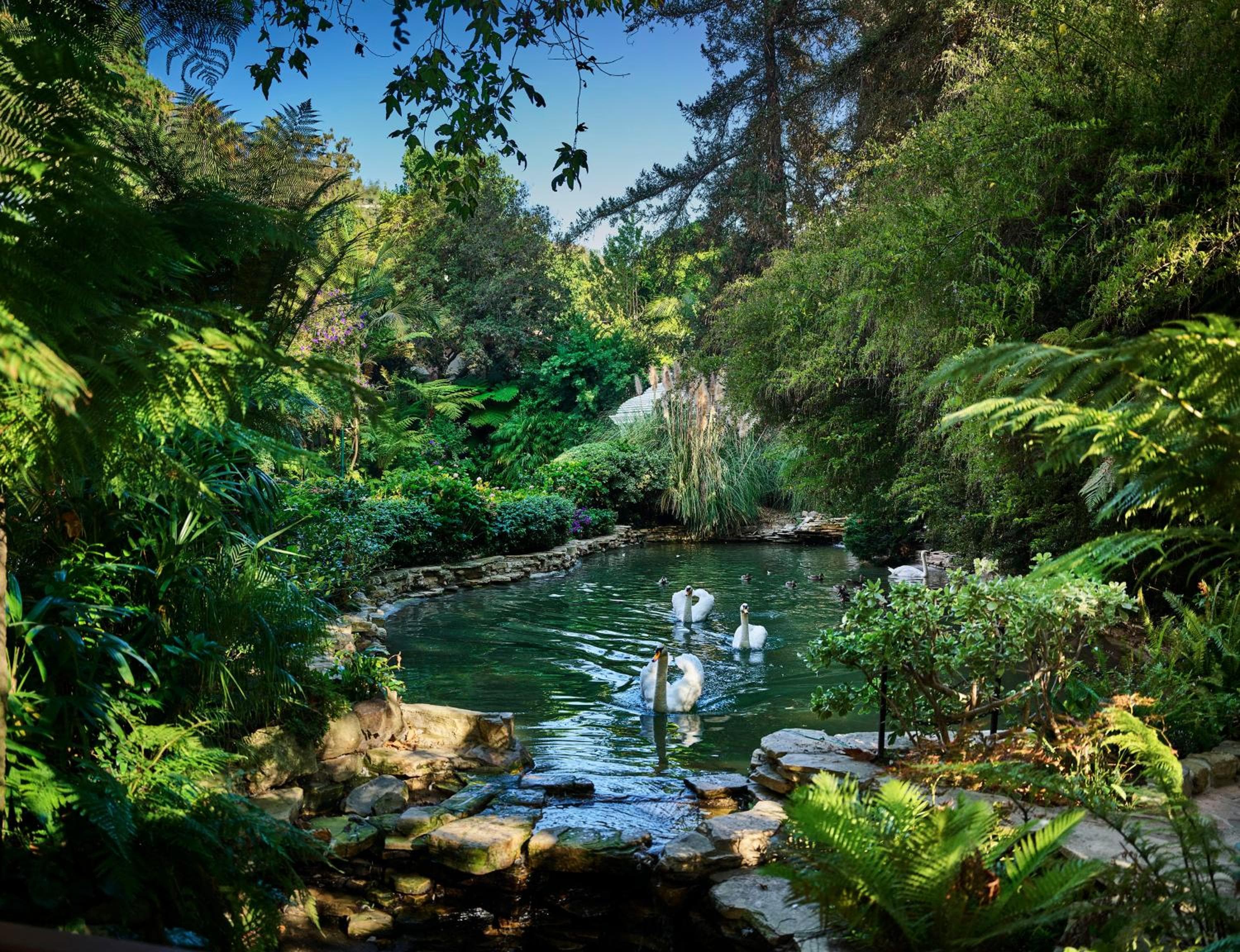 Hotel Bel-Air - Collezione Dorchester — 29