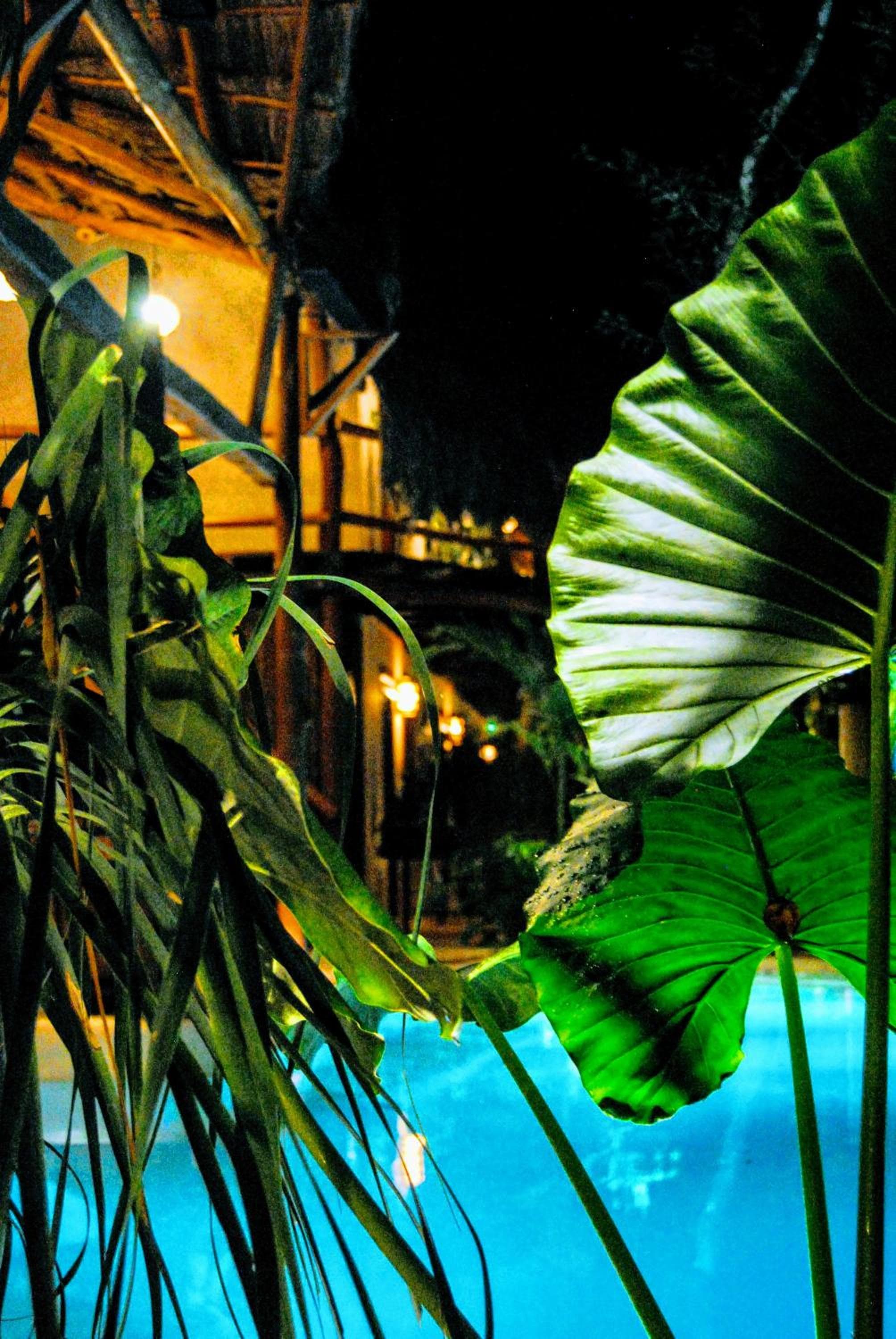Hotel Boutique TerraNova — 25