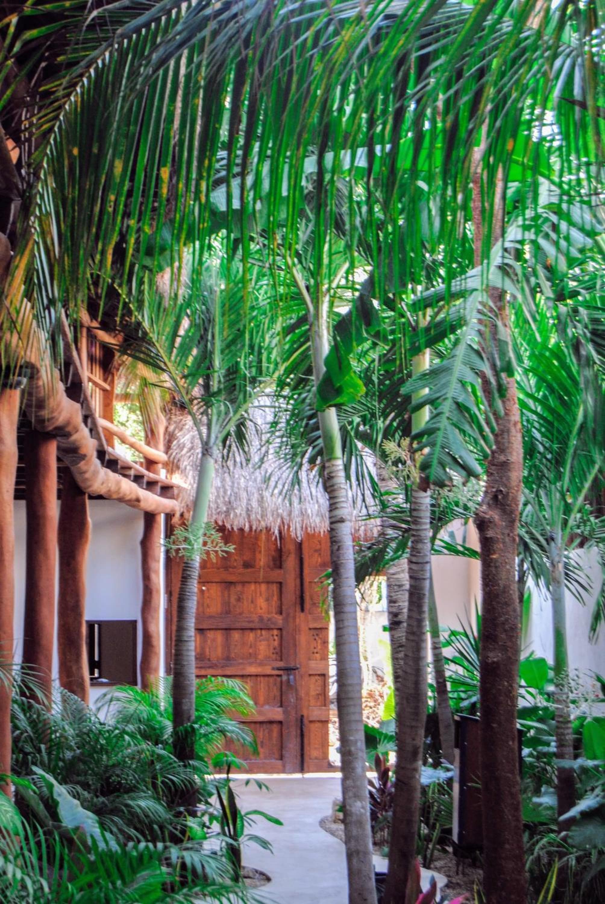 Hotel Boutique TerraNova — 29