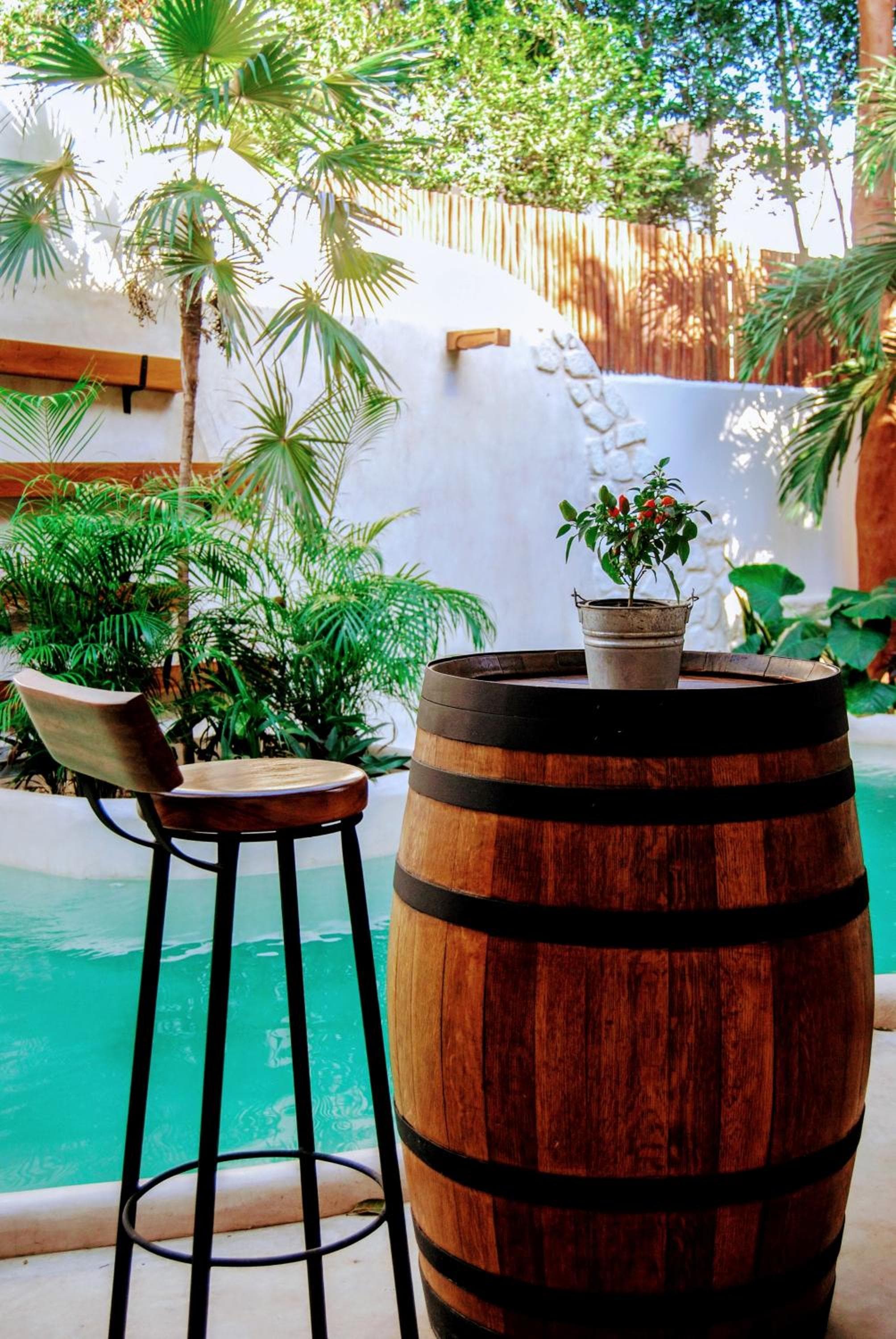 Hotel Boutique TerraNova — 22