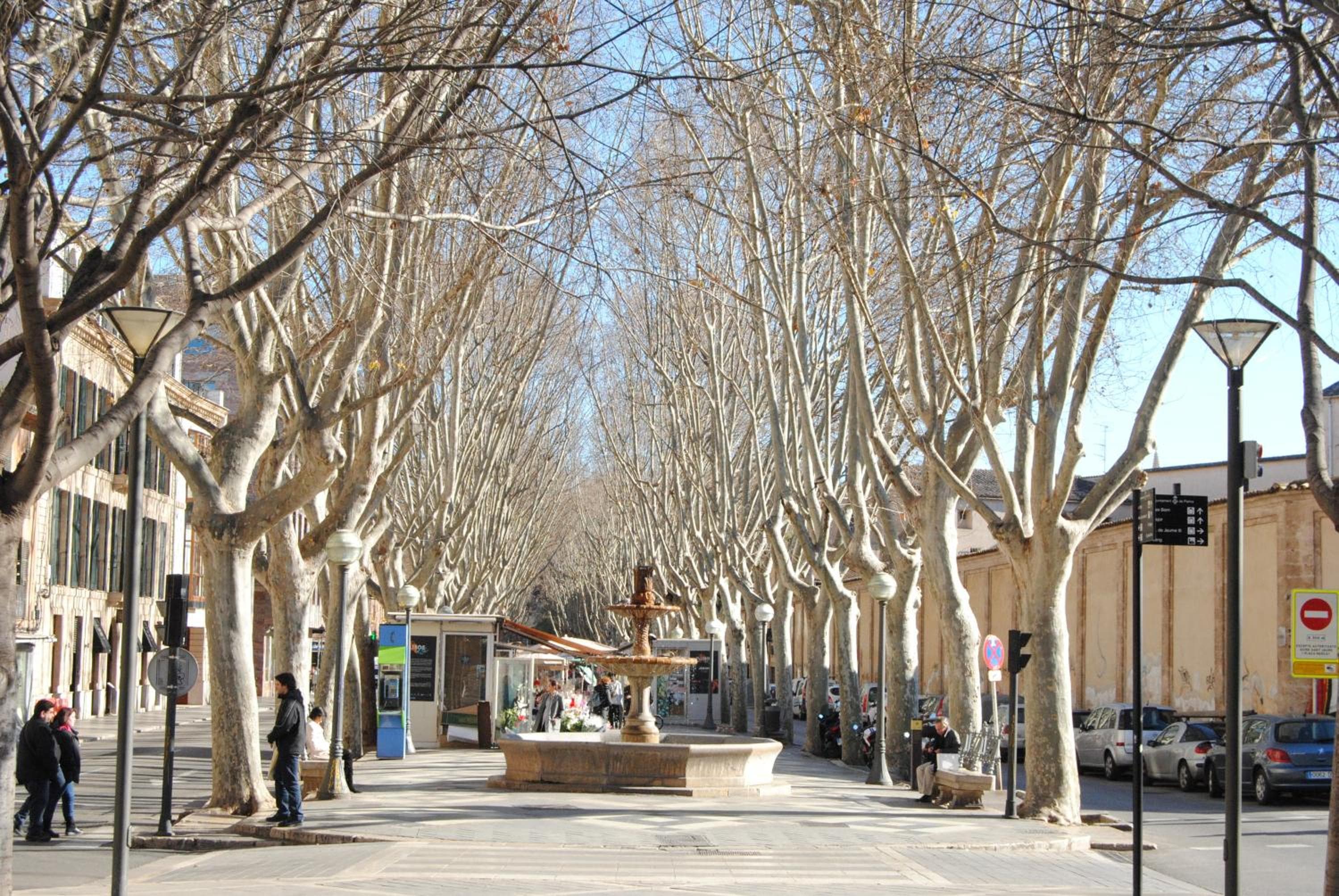Cream Homes La Rambla, TURISMO DE INTERIOR — 26
