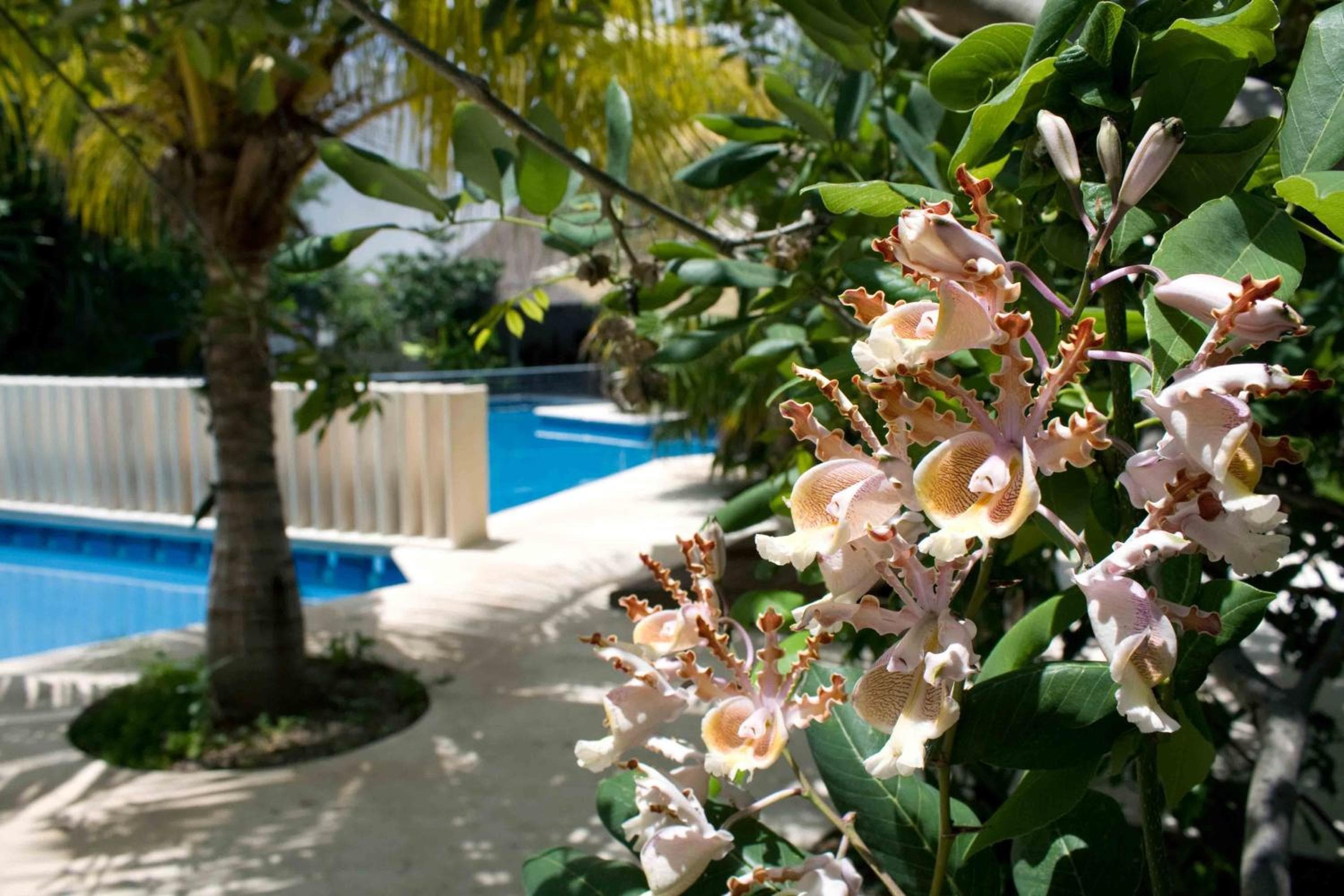Sotavento Hotel & Yacht Club — 10