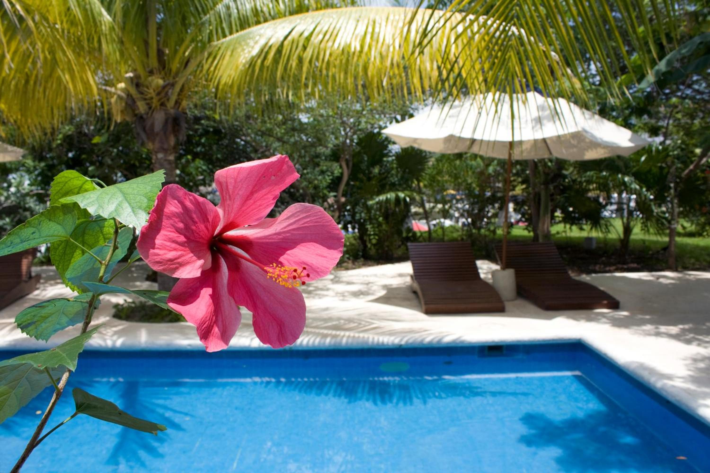 Sotavento Hotel & Yacht Club — 2