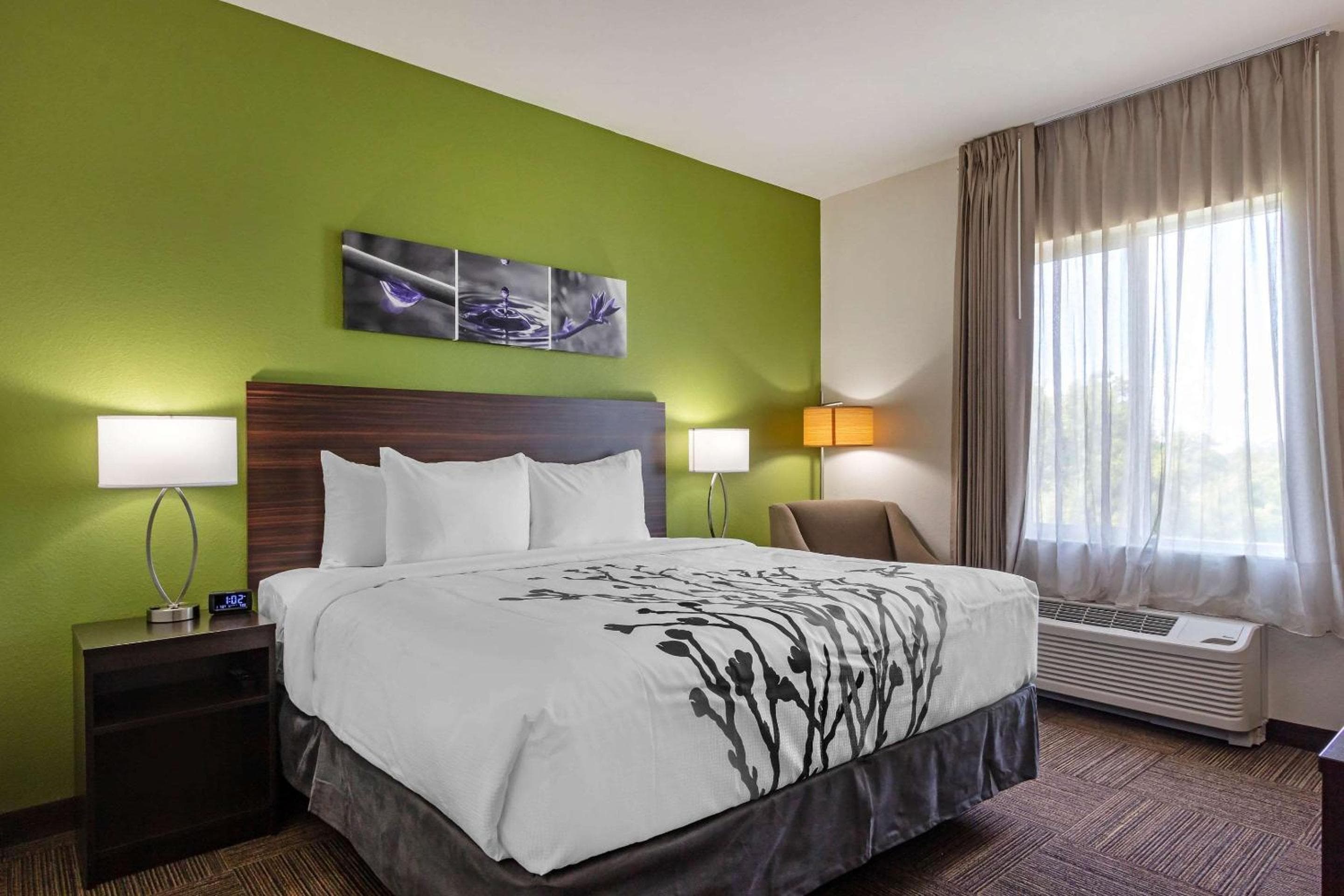 Sleep Inn & Suites Tampa South — 7