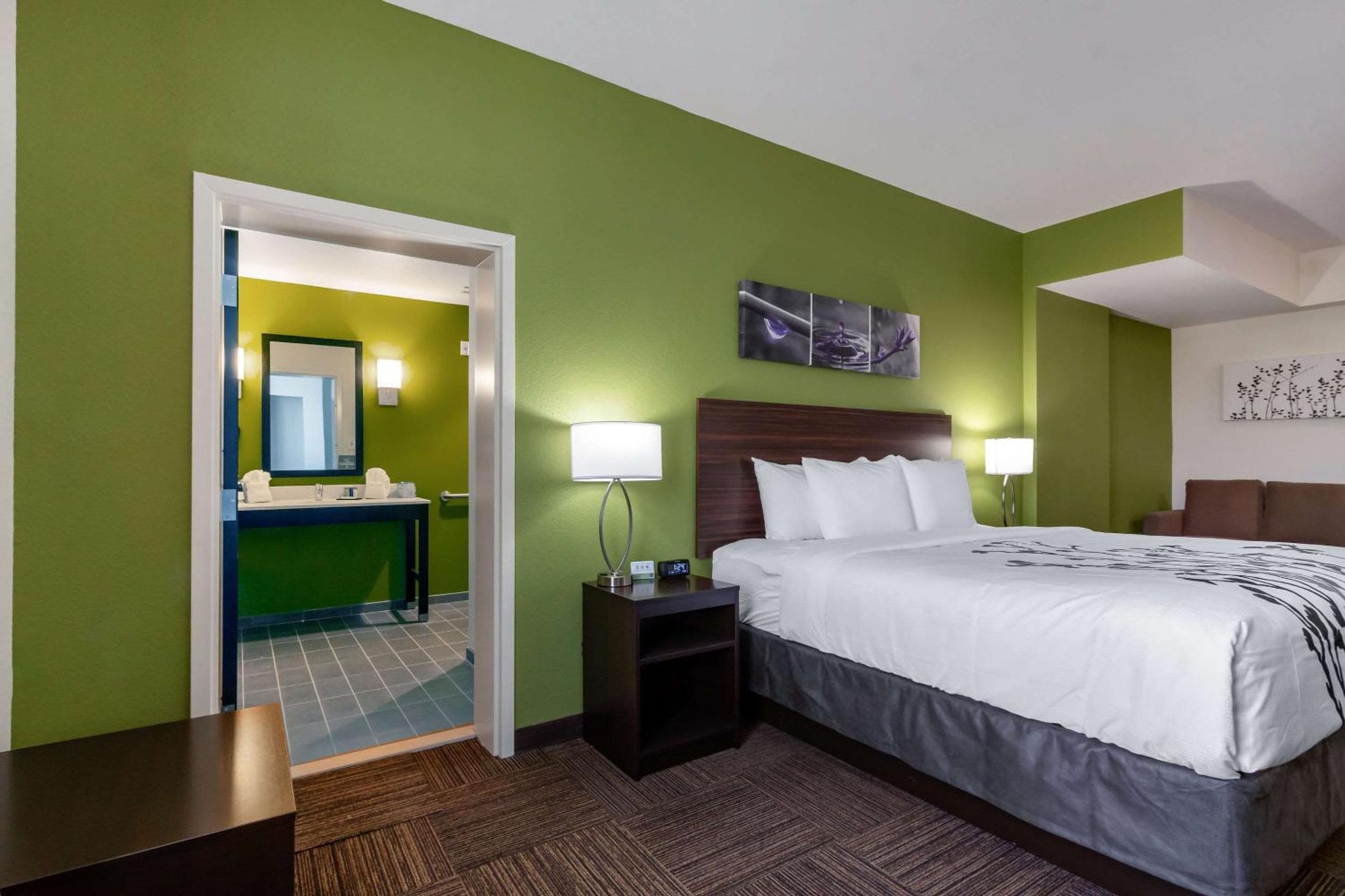 Sleep Inn & Suites Tampa South — 29