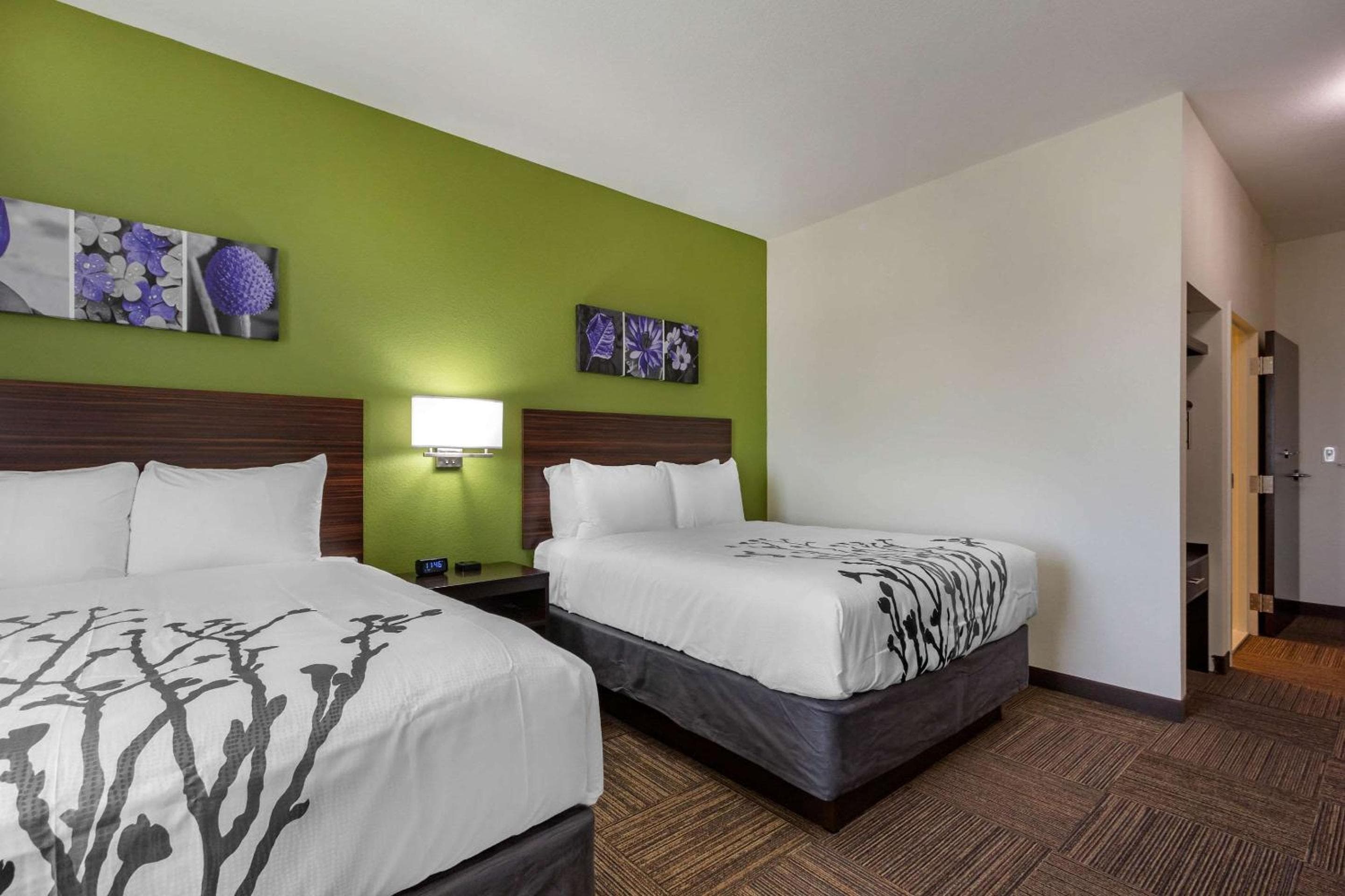 Sleep Inn & Suites Tampa South — 14