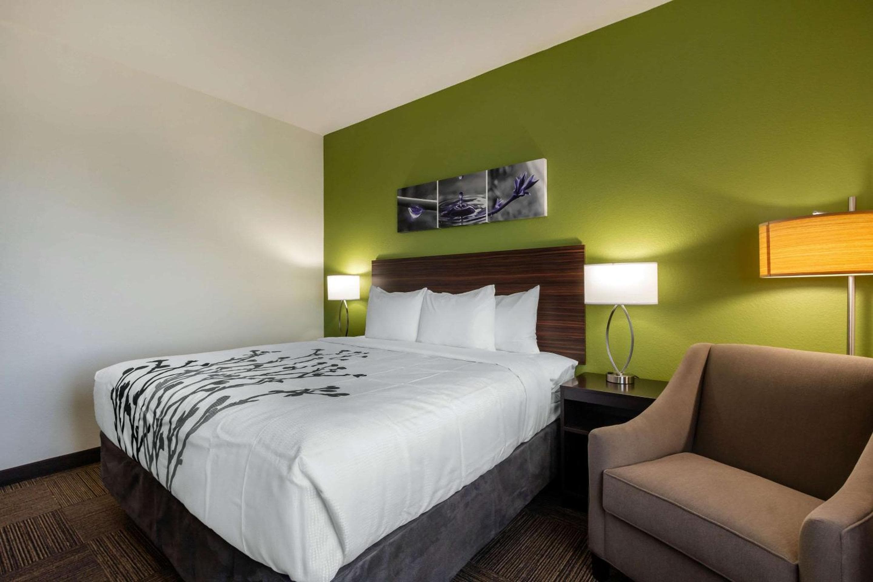Sleep Inn & Suites Tampa South — 17