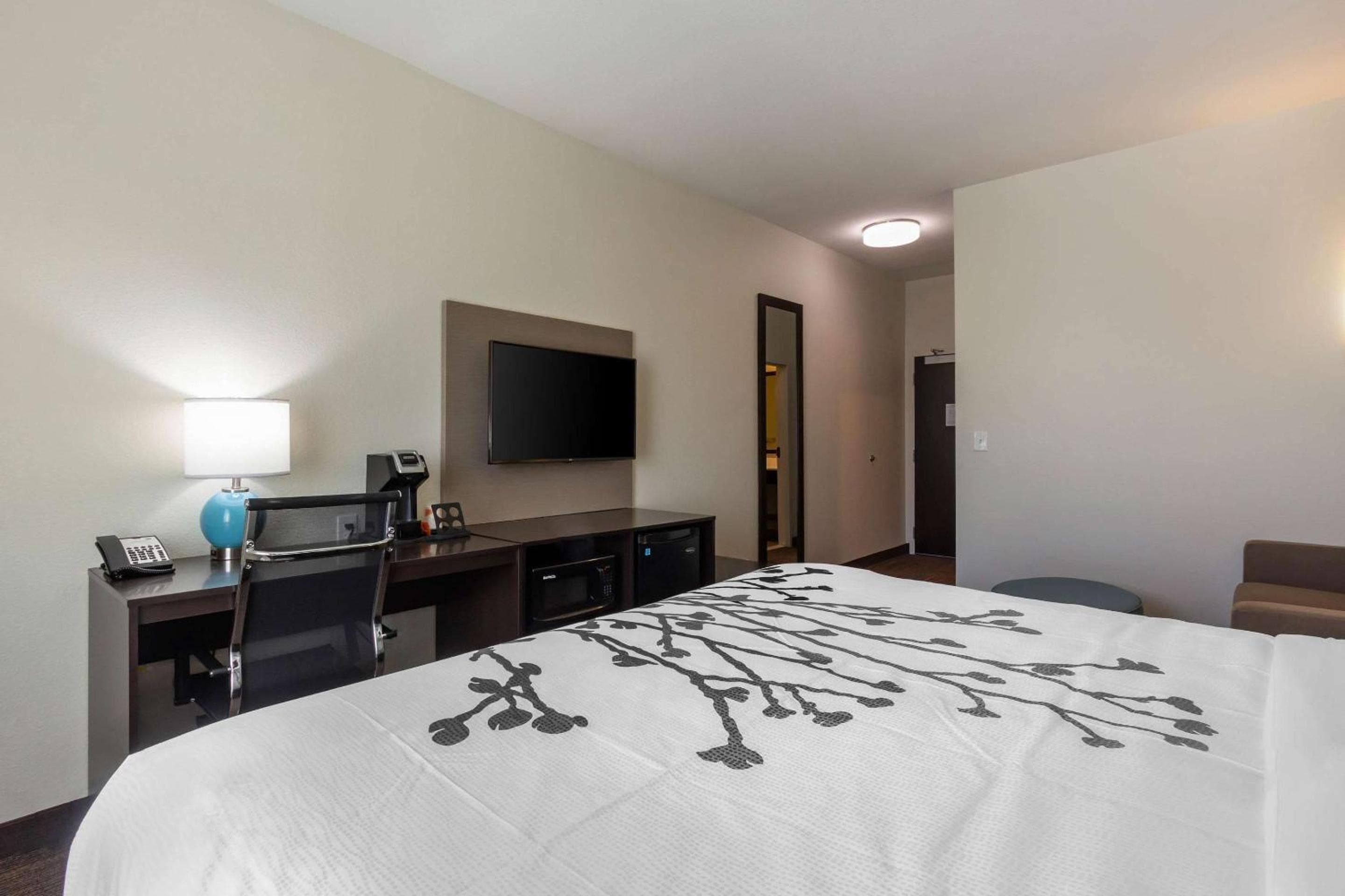 Sleep Inn & Suites Tampa South — 25