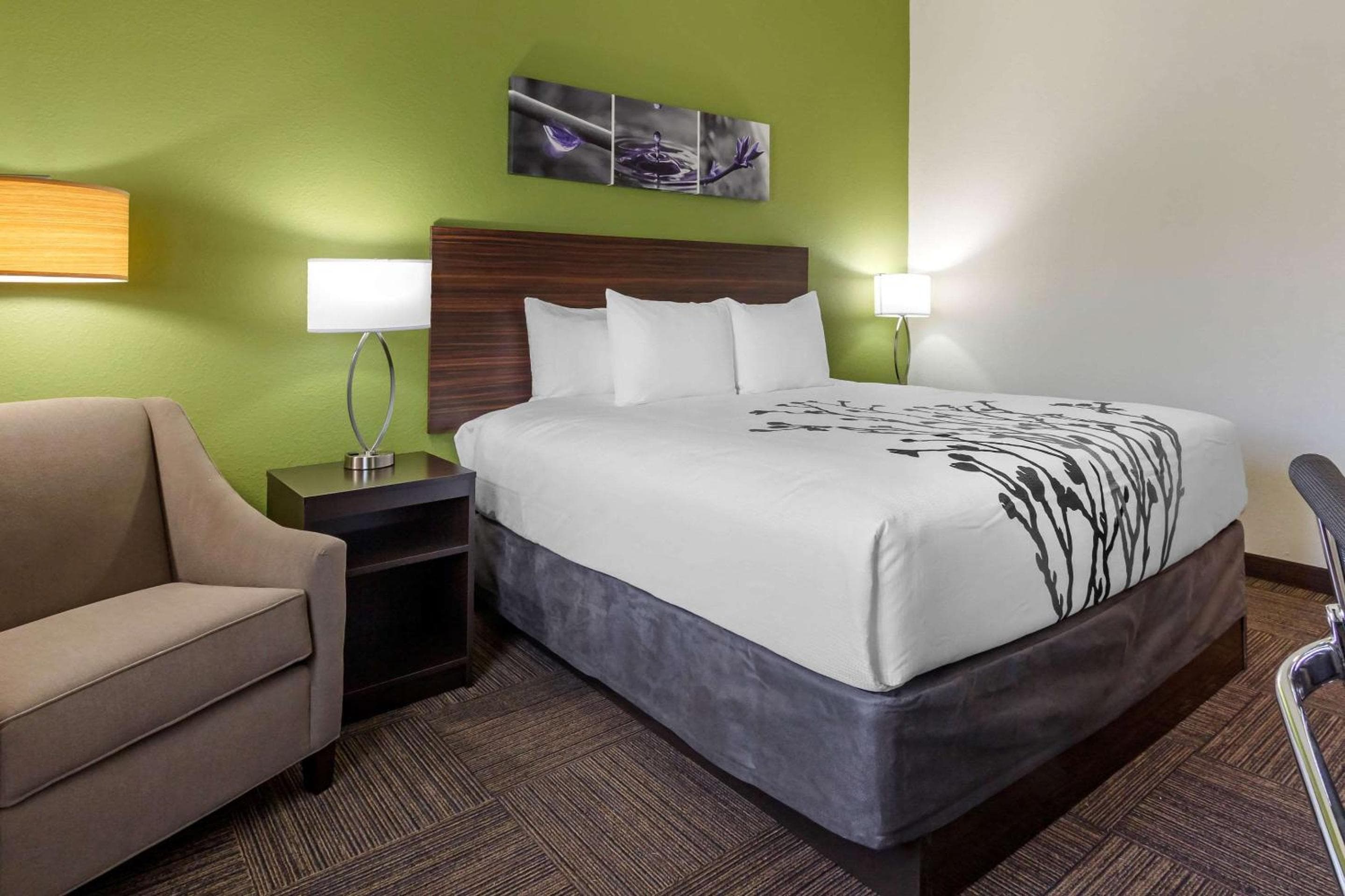 Sleep Inn & Suites Tampa South — 8