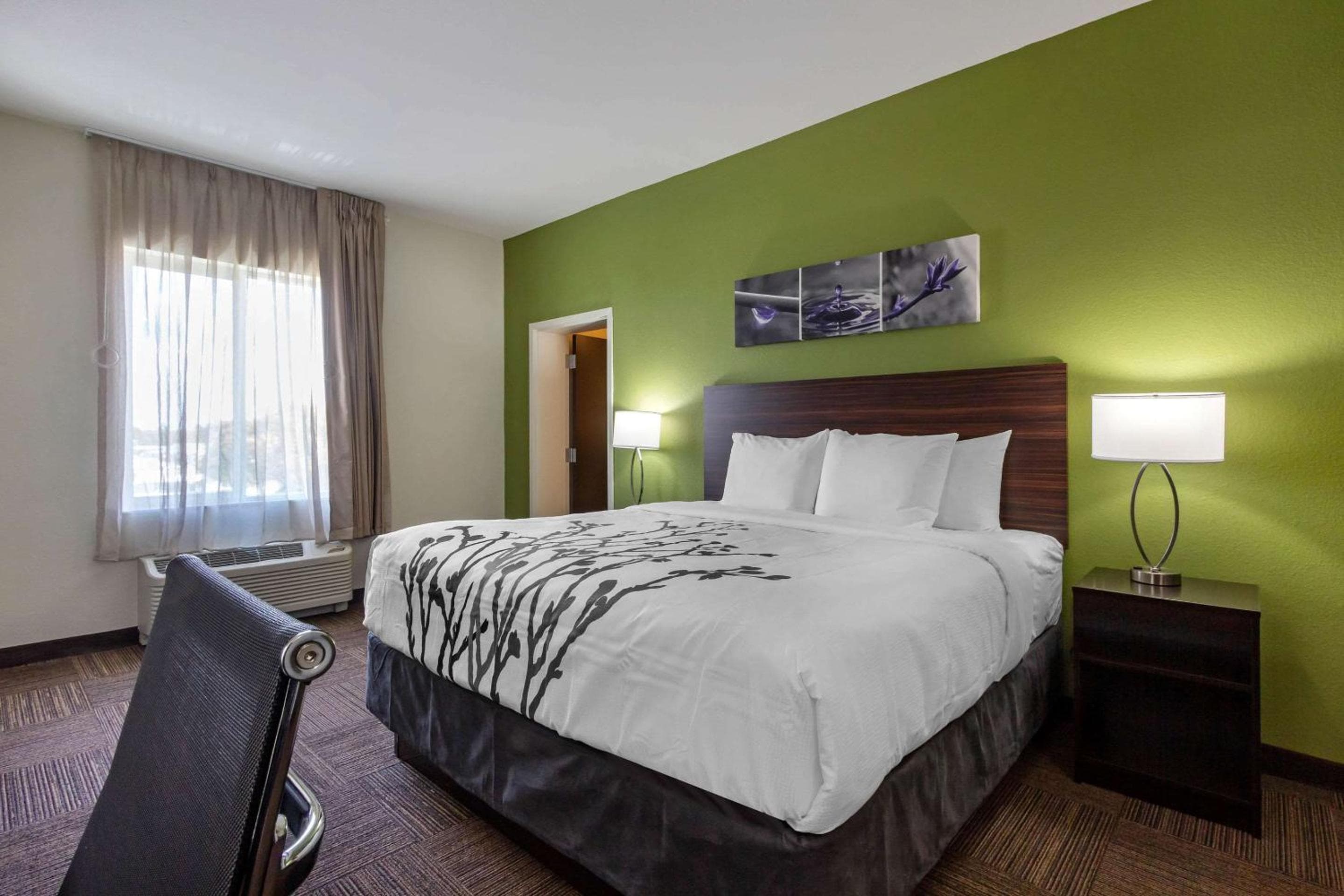 Sleep Inn & Suites Tampa South — 28