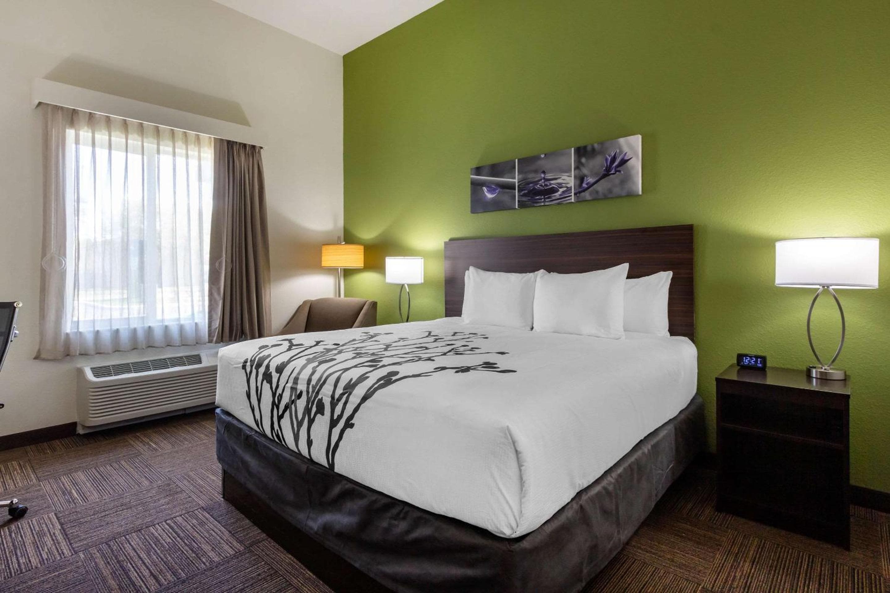Sleep Inn & Suites Tampa South — 9