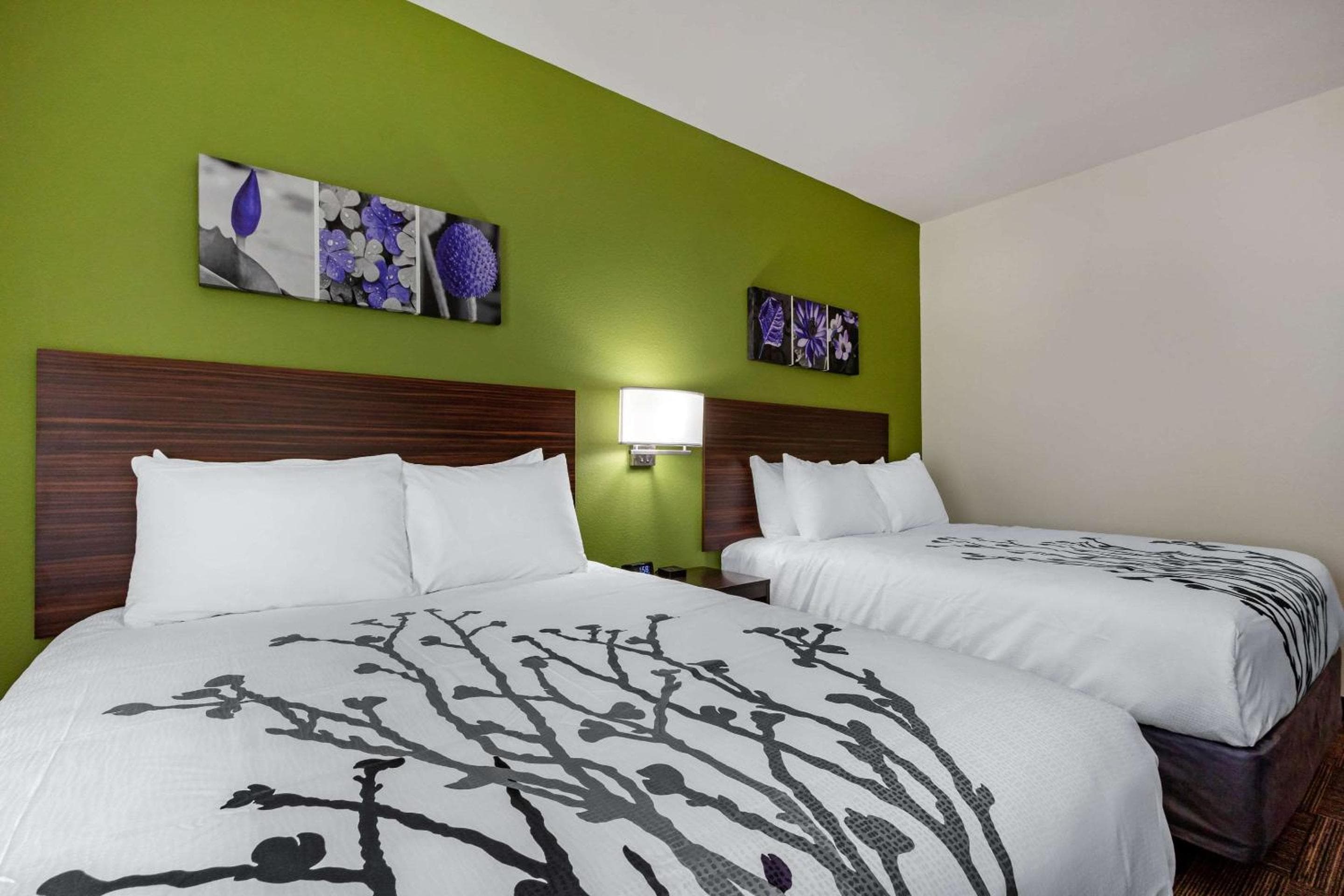 Sleep Inn & Suites Tampa South — 20