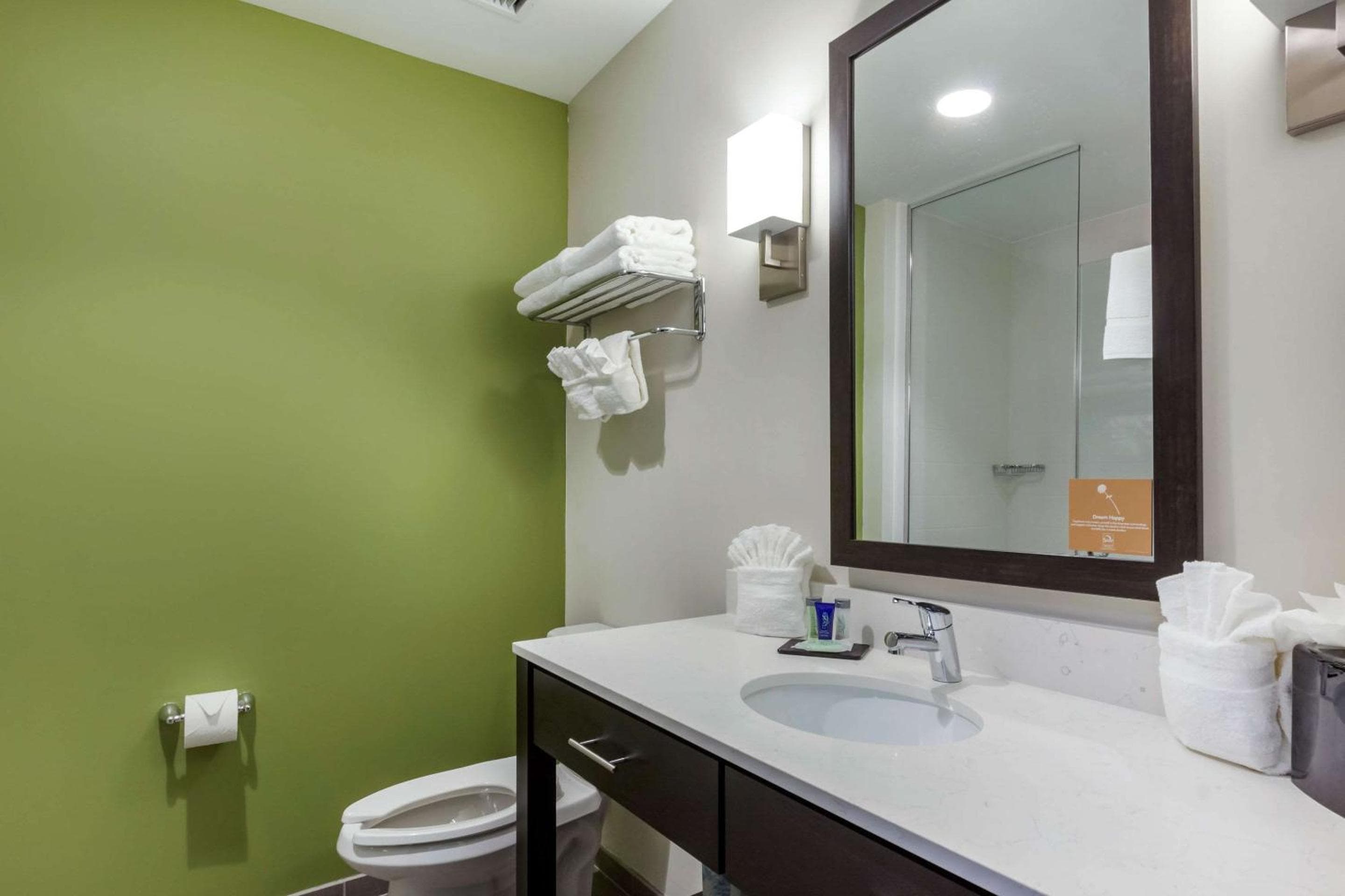 Sleep Inn & Suites Tampa South — 27