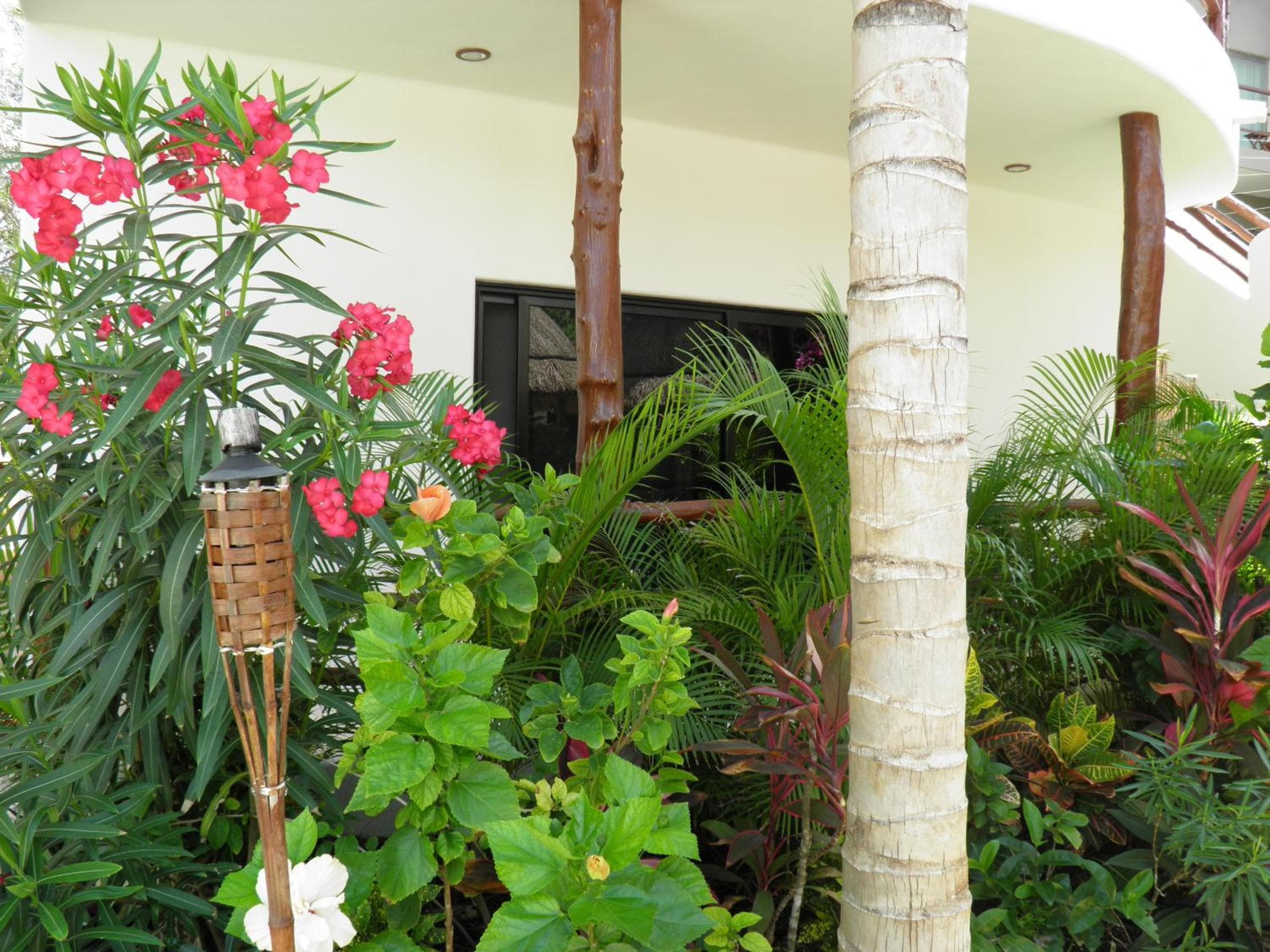 Tua Tulum Apartments spaziosi e confortevoli — 9