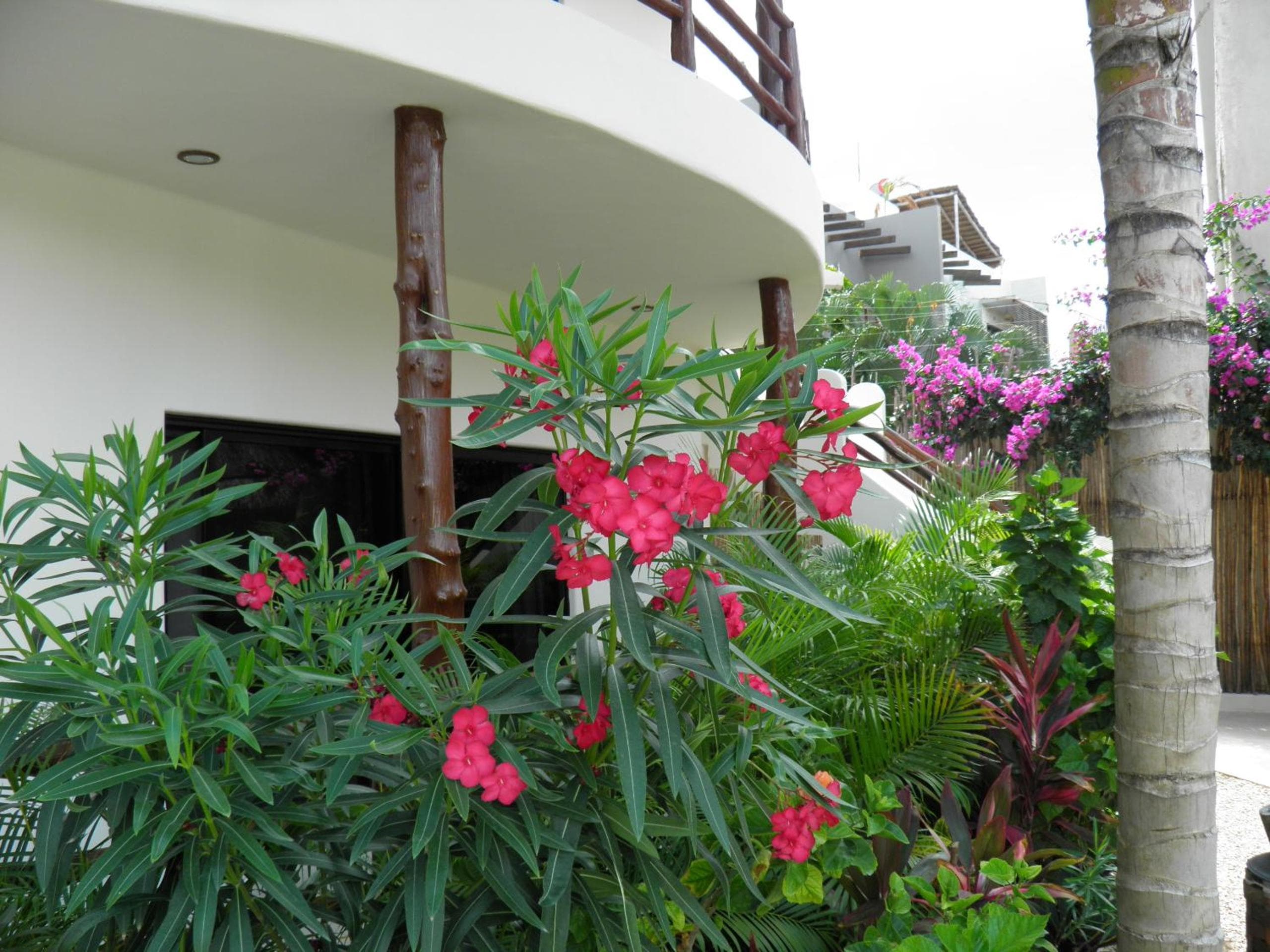 Tua Tulum Apartments spaziosi e confortevoli — 11