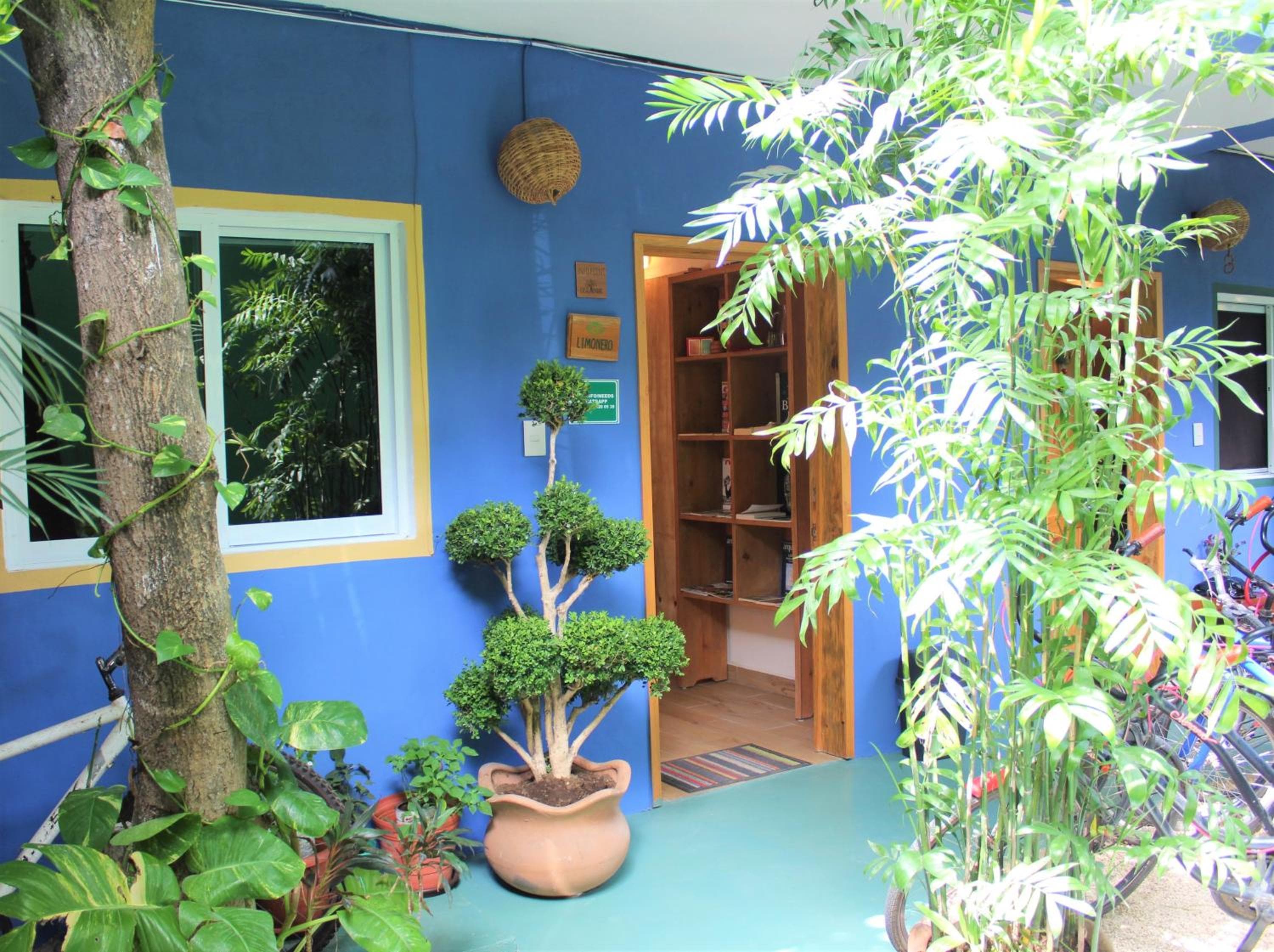 Casa Almendro — 6