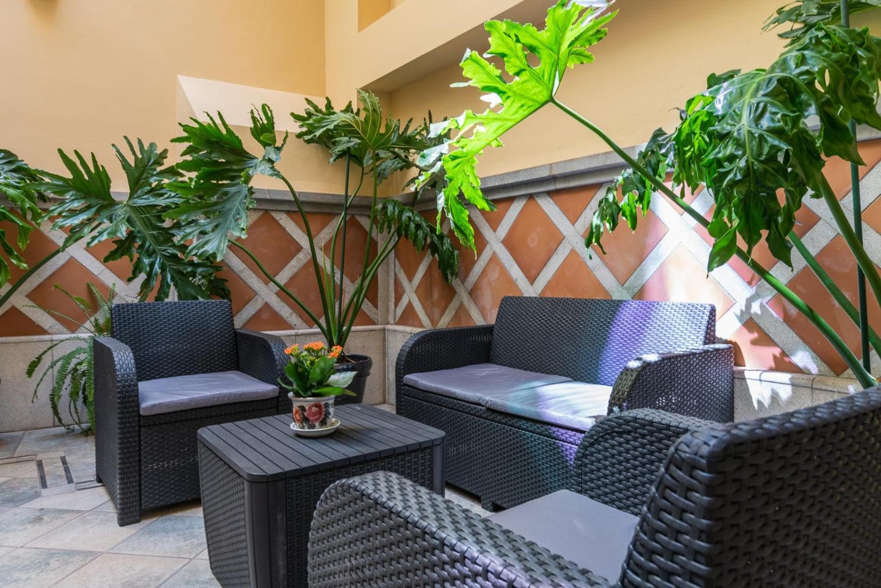 CASA MIRAFLORES — 4