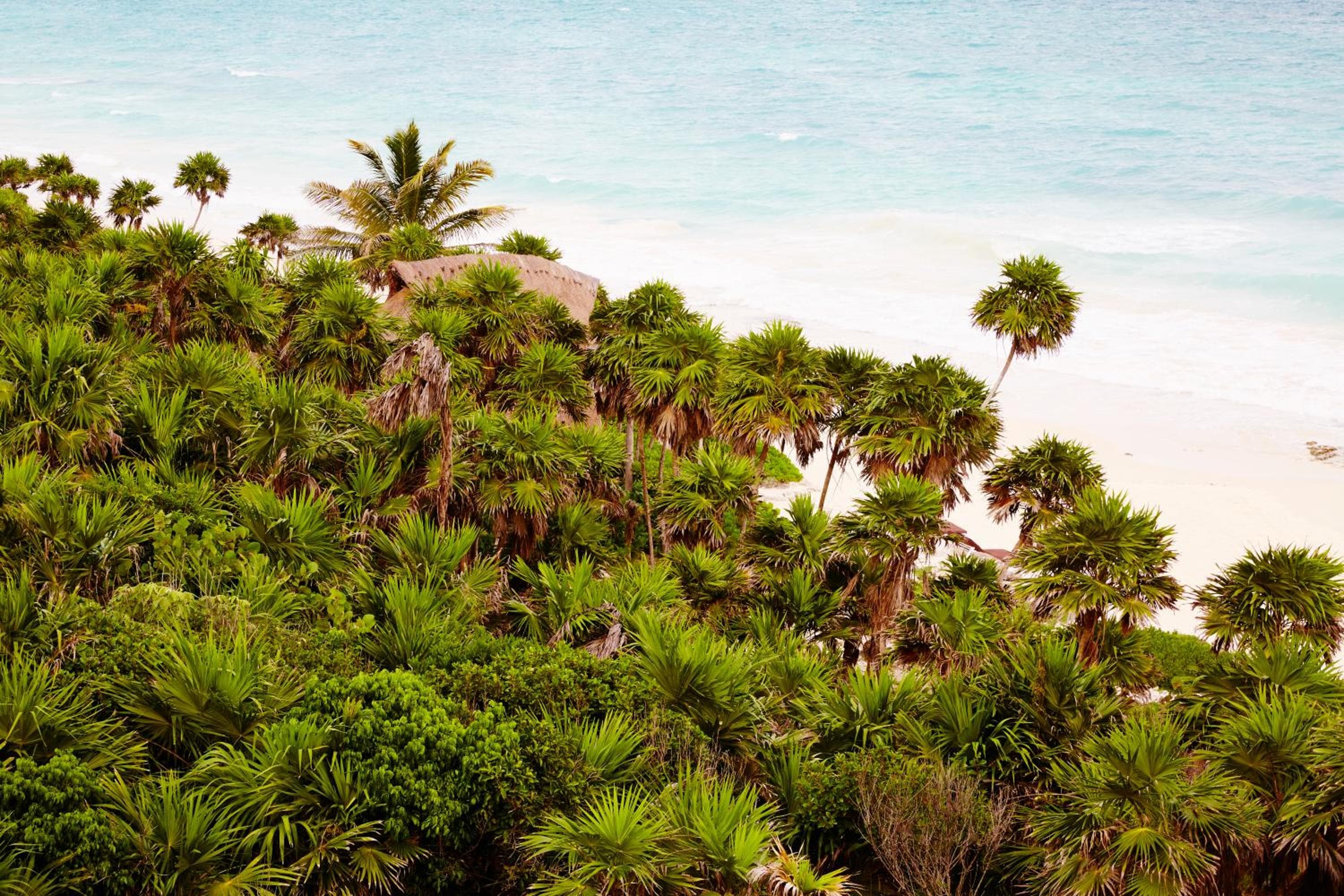 Papaya Playa Project, Tulum, a Member of Design Hotels — 23