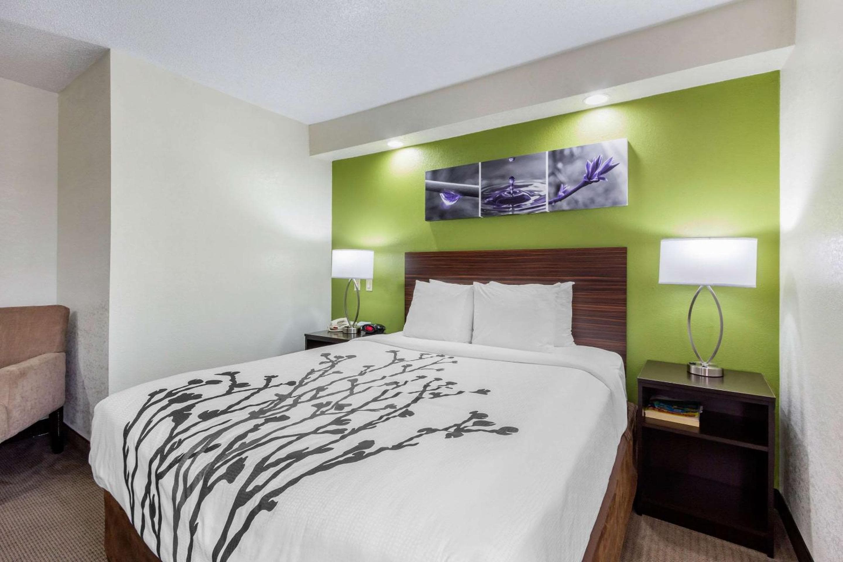 Sleep Inn in der Nähe von Busch Gardens – USF — 17