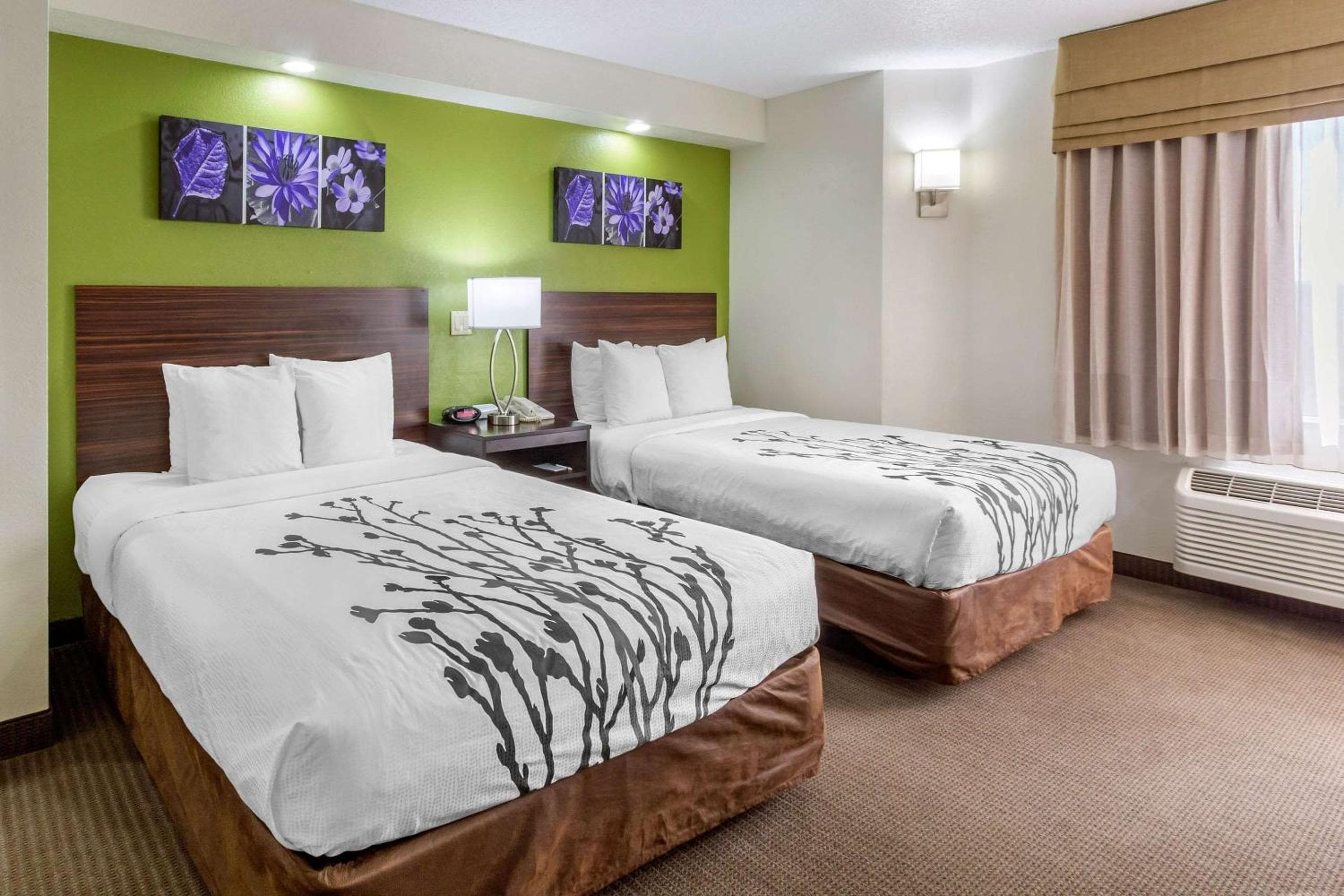 Sleep Inn in der Nähe von Busch Gardens – USF — 21