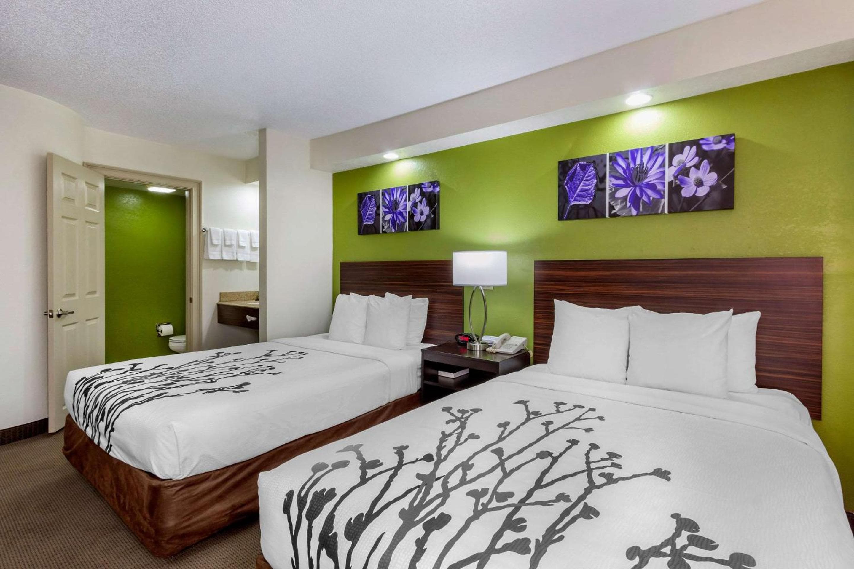 Sleep Inn in der Nähe von Busch Gardens – USF — 23