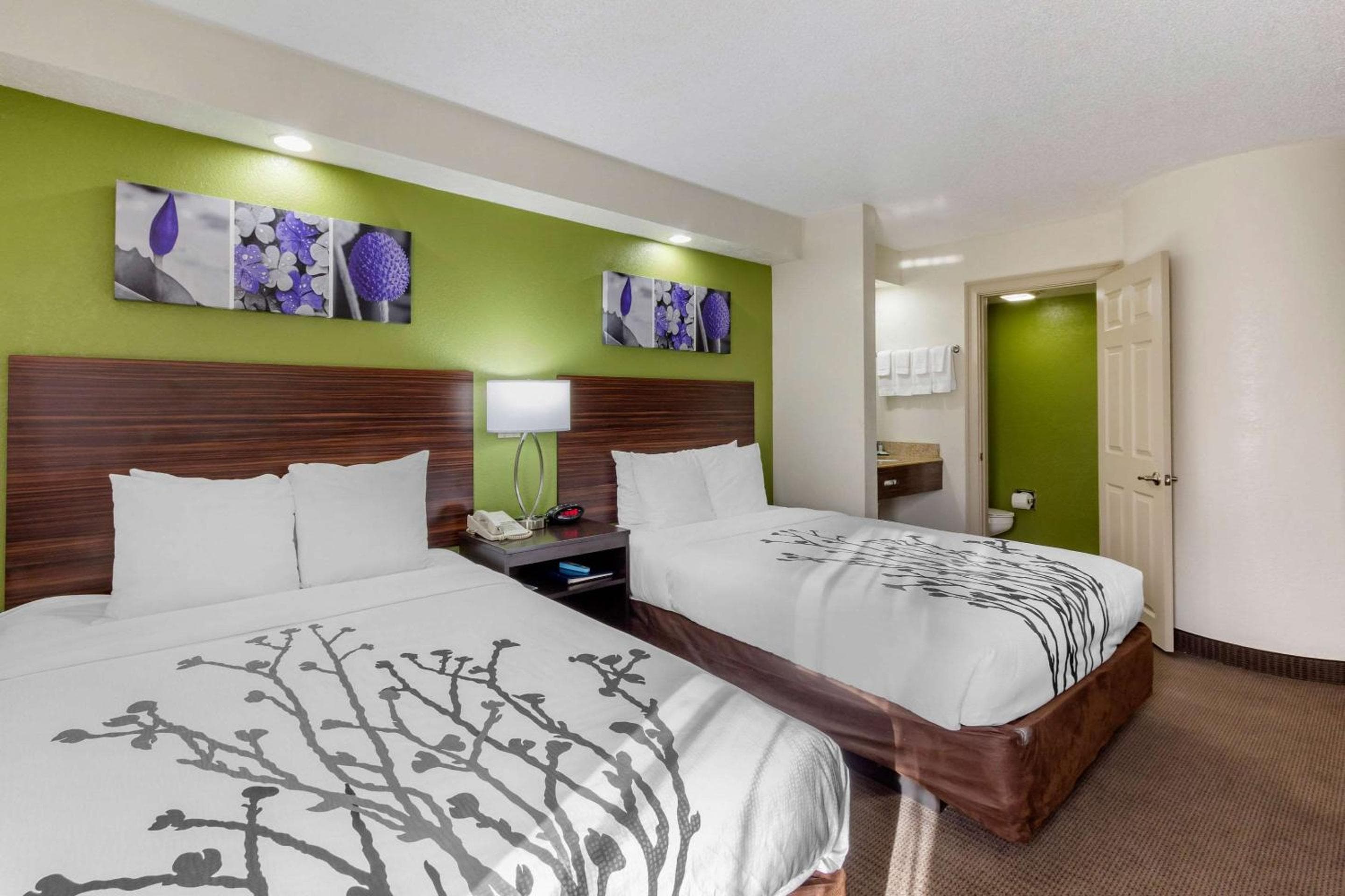 Sleep Inn in der Nähe von Busch Gardens – USF — 8