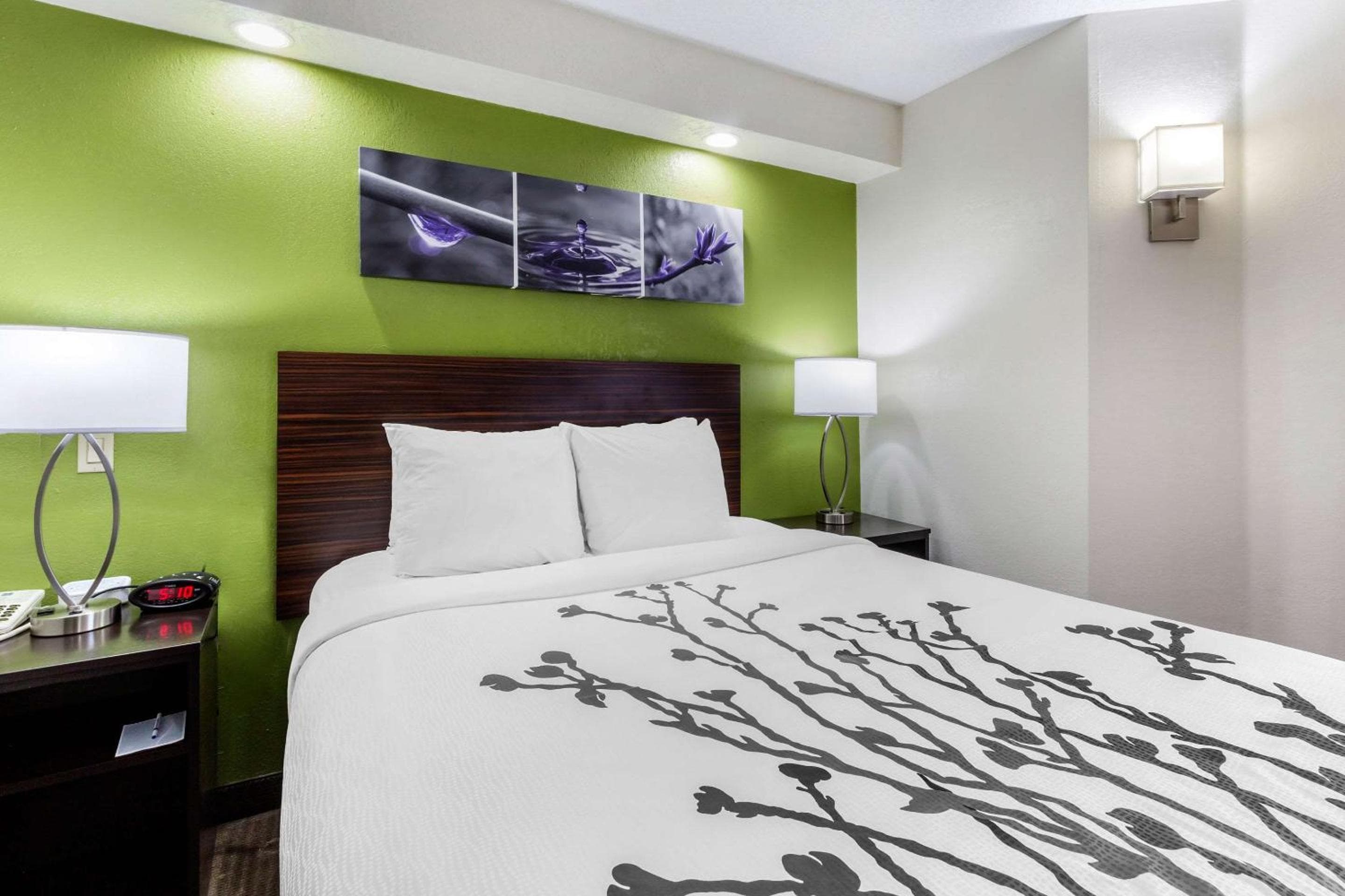 Sleep Inn in der Nähe von Busch Gardens – USF — 18