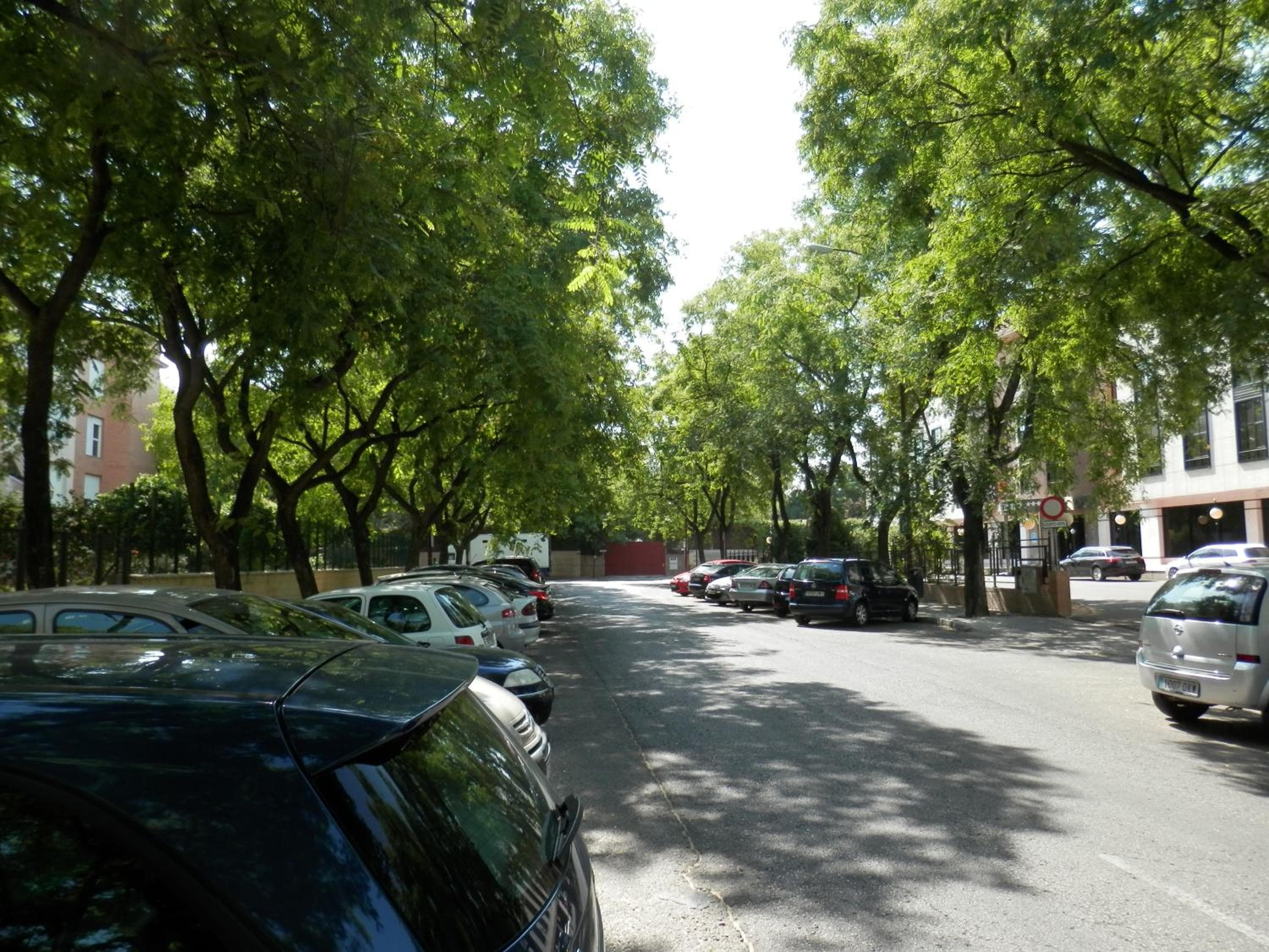 Appartamenti Vértice Bib Rambla — 14