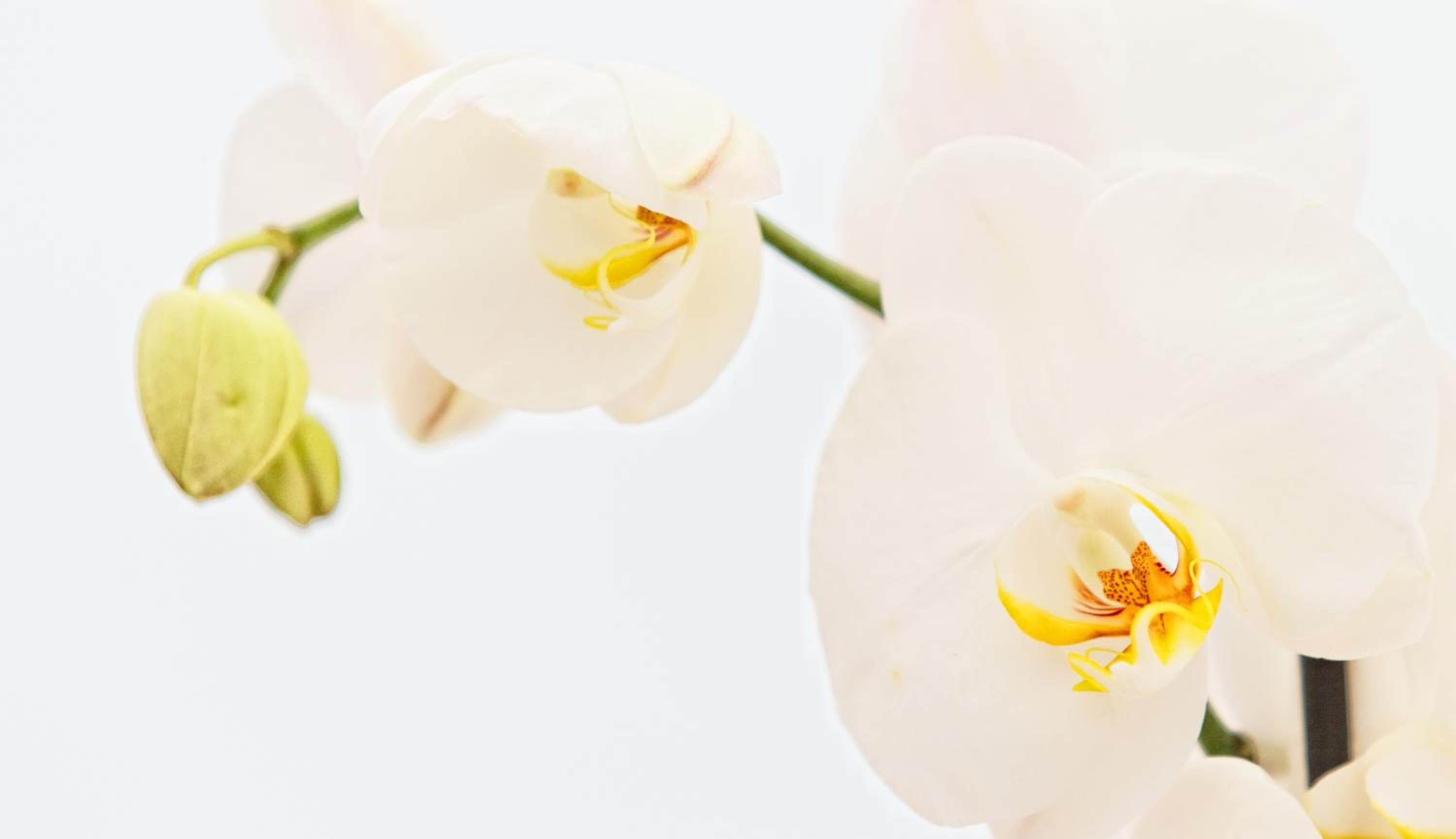 Hotel Regina hotel, Alcala, 19, Madrid, Spain — photo 22