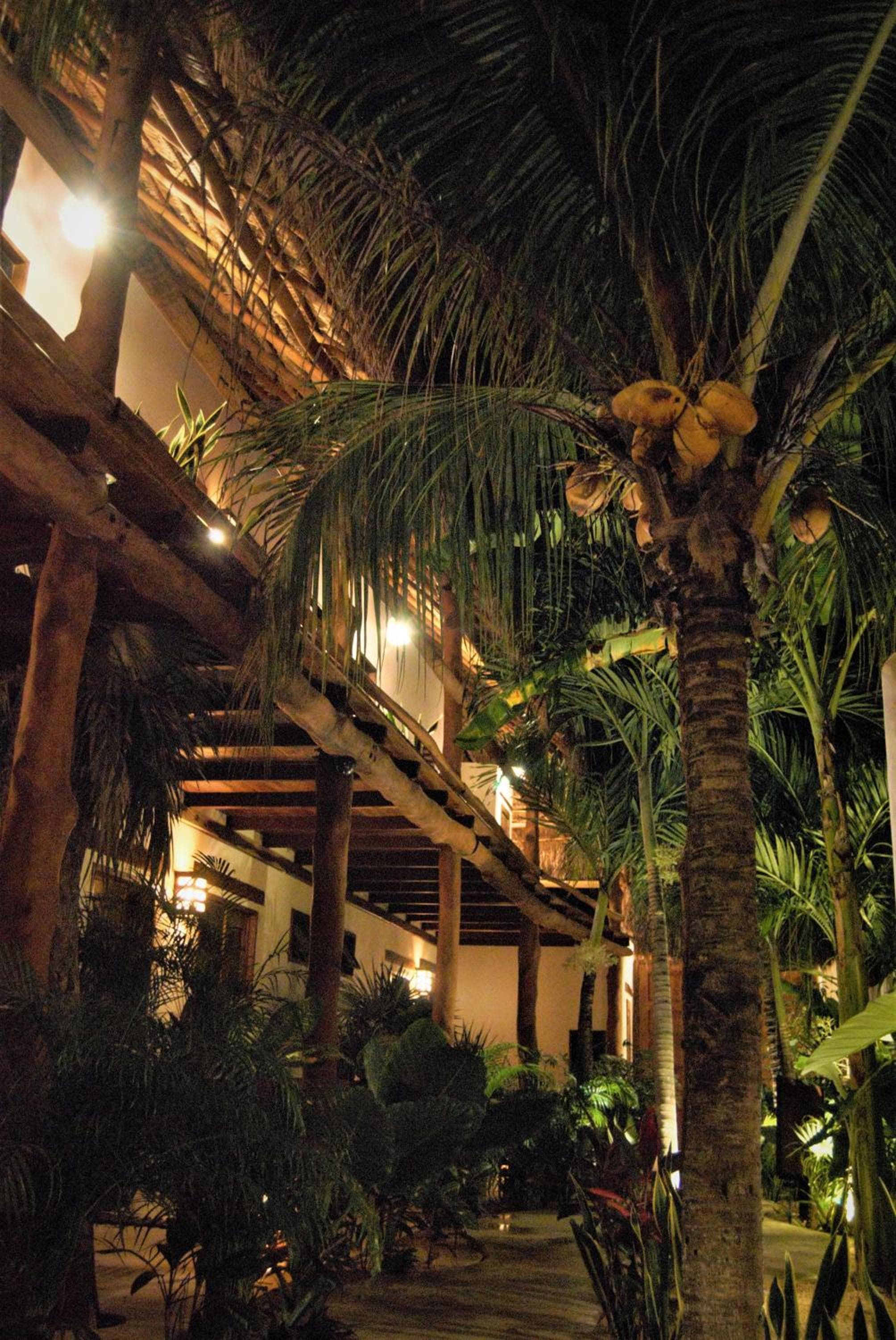 Hotel Boutique TerraNova — 1