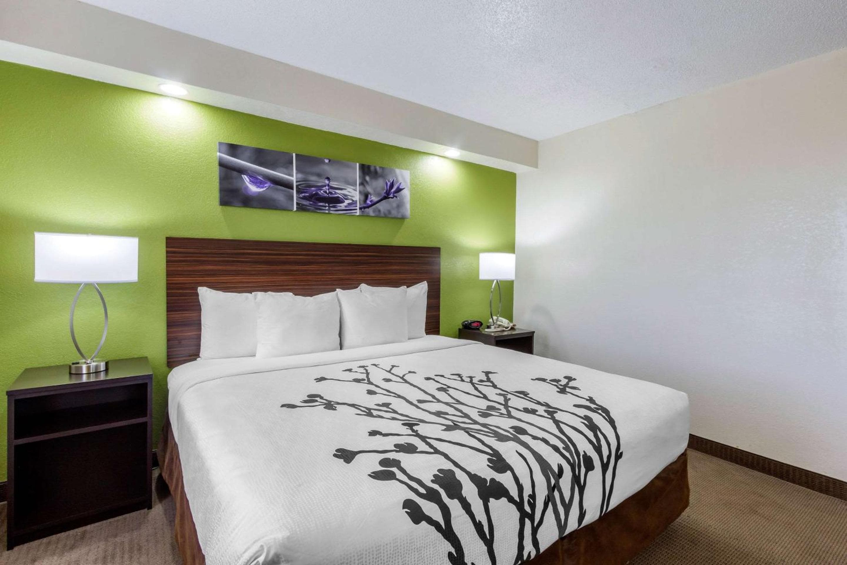 Sleep Inn near Busch Gardens - USF — 8