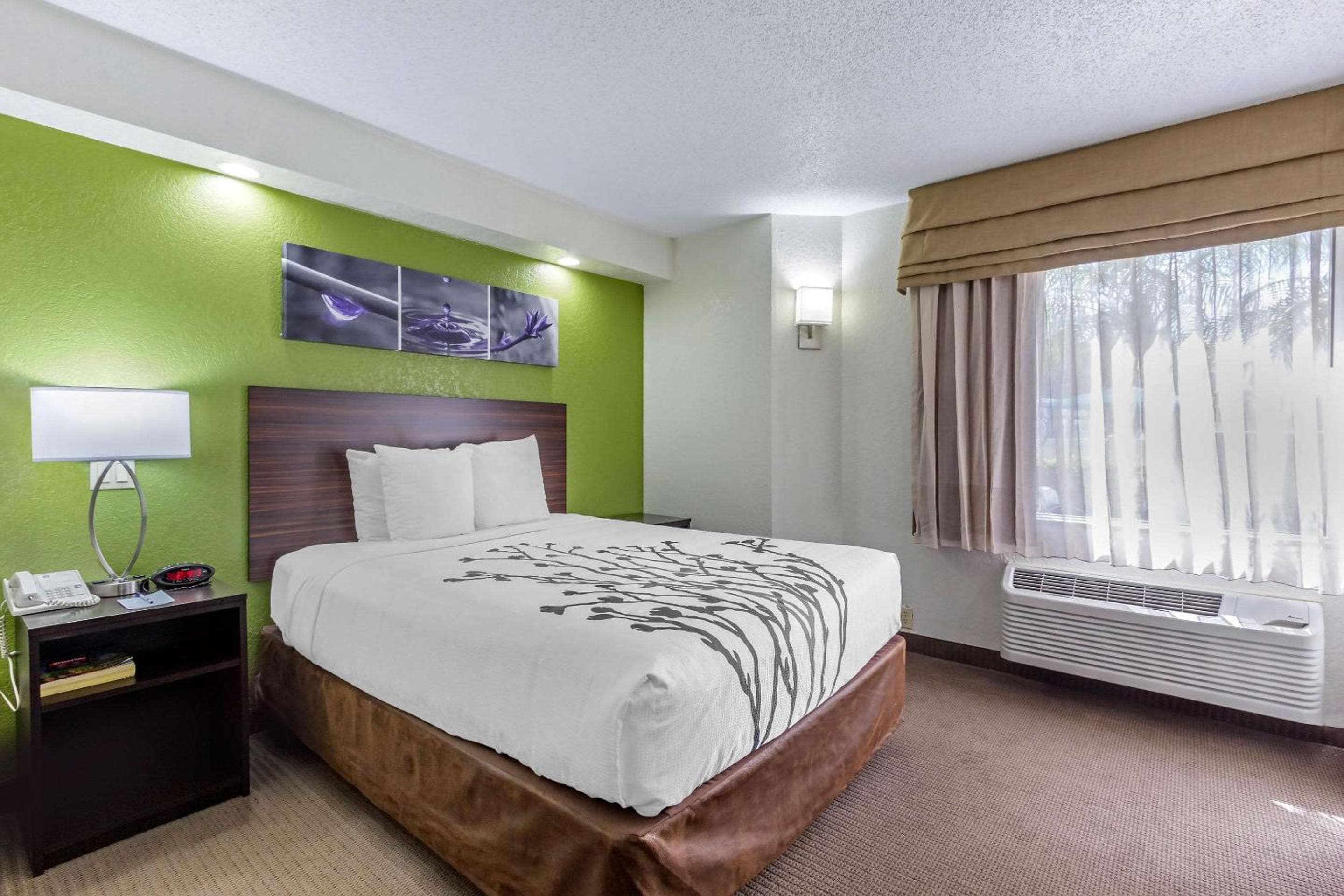 Sleep Inn in der Nähe von Busch Gardens – USF — 11